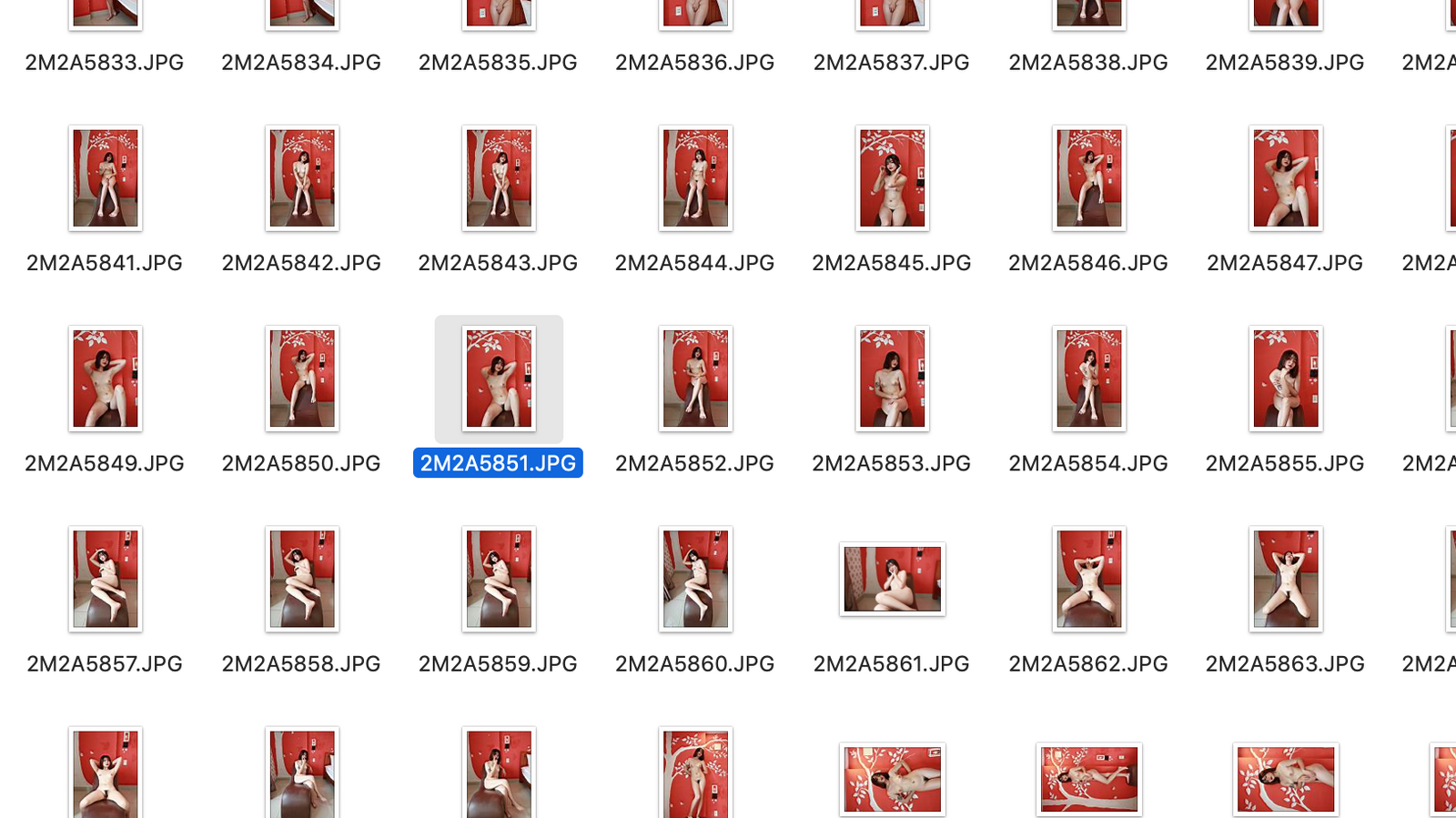 599543_Screen_Shot_2022-11-13_at_4.04.15_AM.png