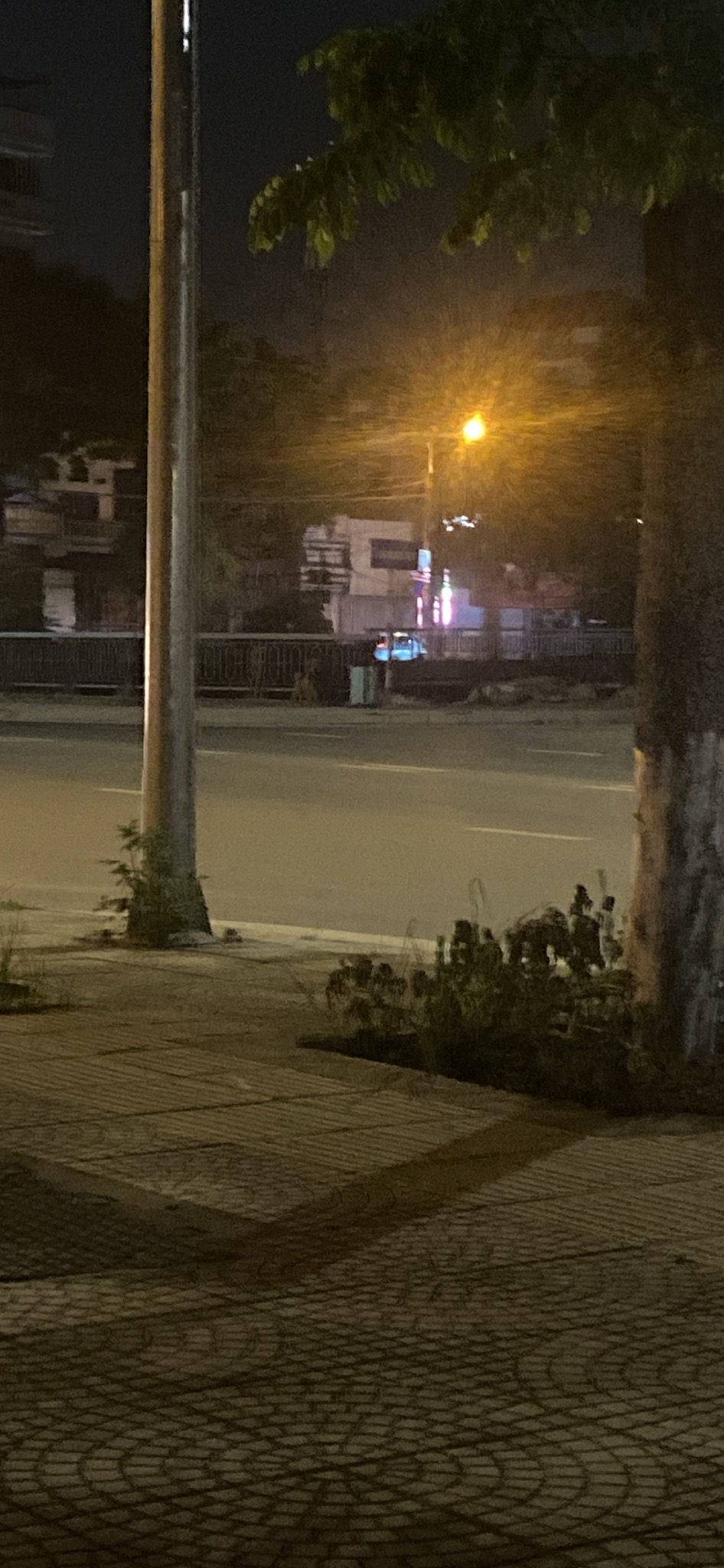 IMG_0225.jpeg