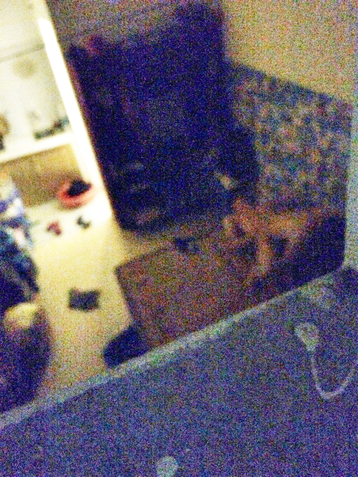 IMG_0506.jpeg
