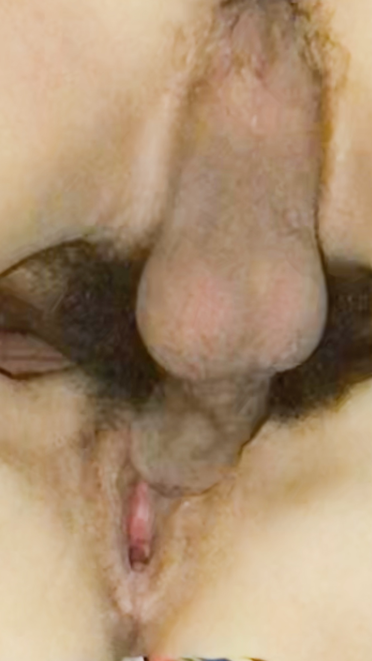 5283FA7B-06DA-4FC2-A9E9-B7715BE520C4.jpeg
