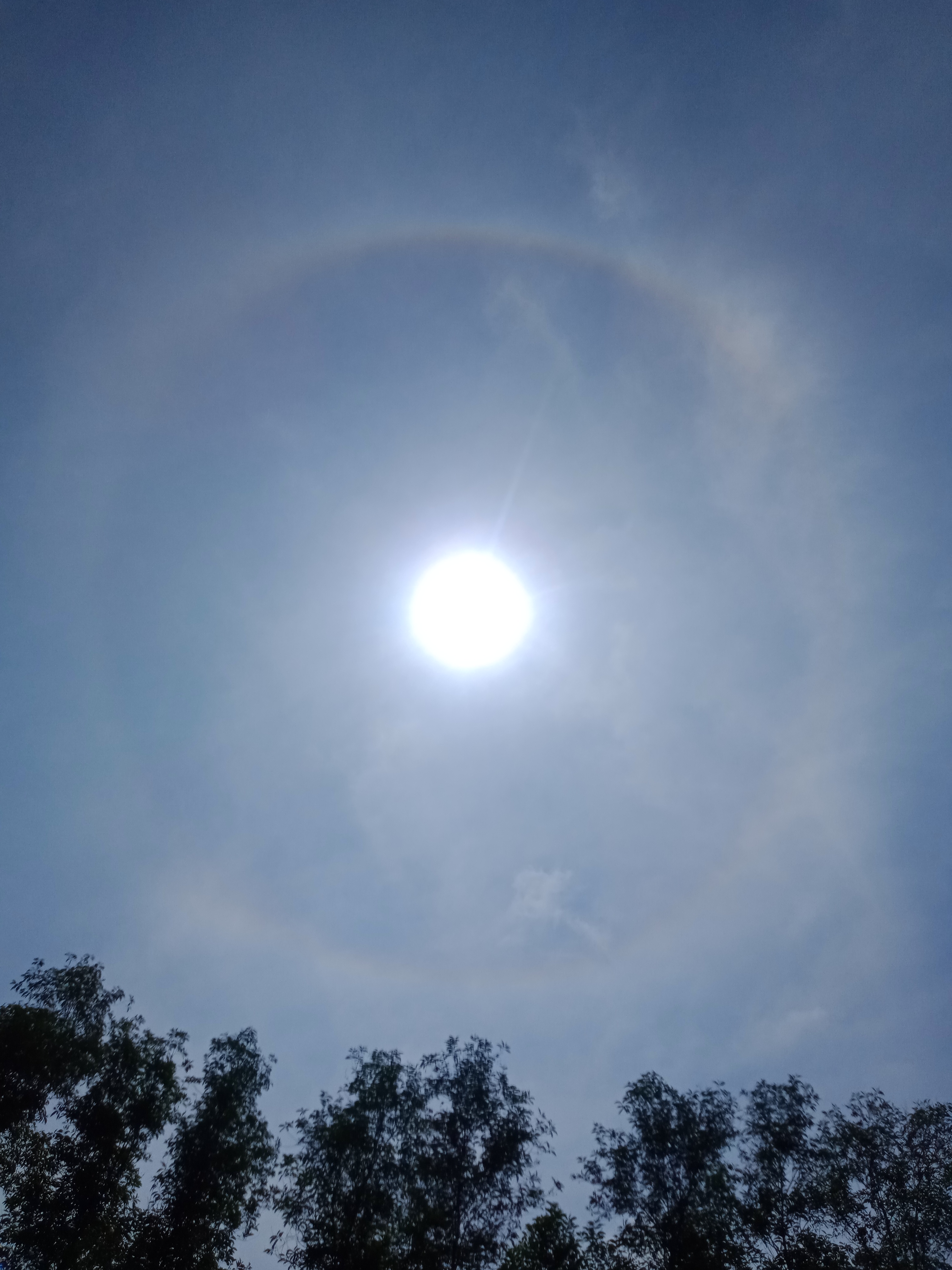 IMG20220103114705.jpg