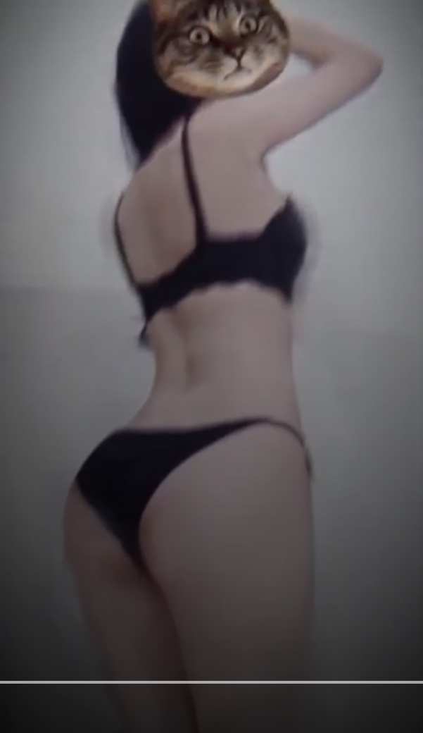 1731482732242.png