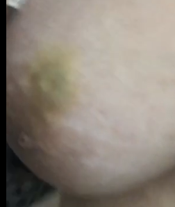 1733170781424.png
