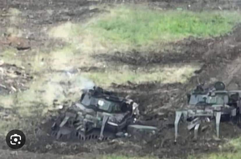 FB_IMG_1688142622771.jpg