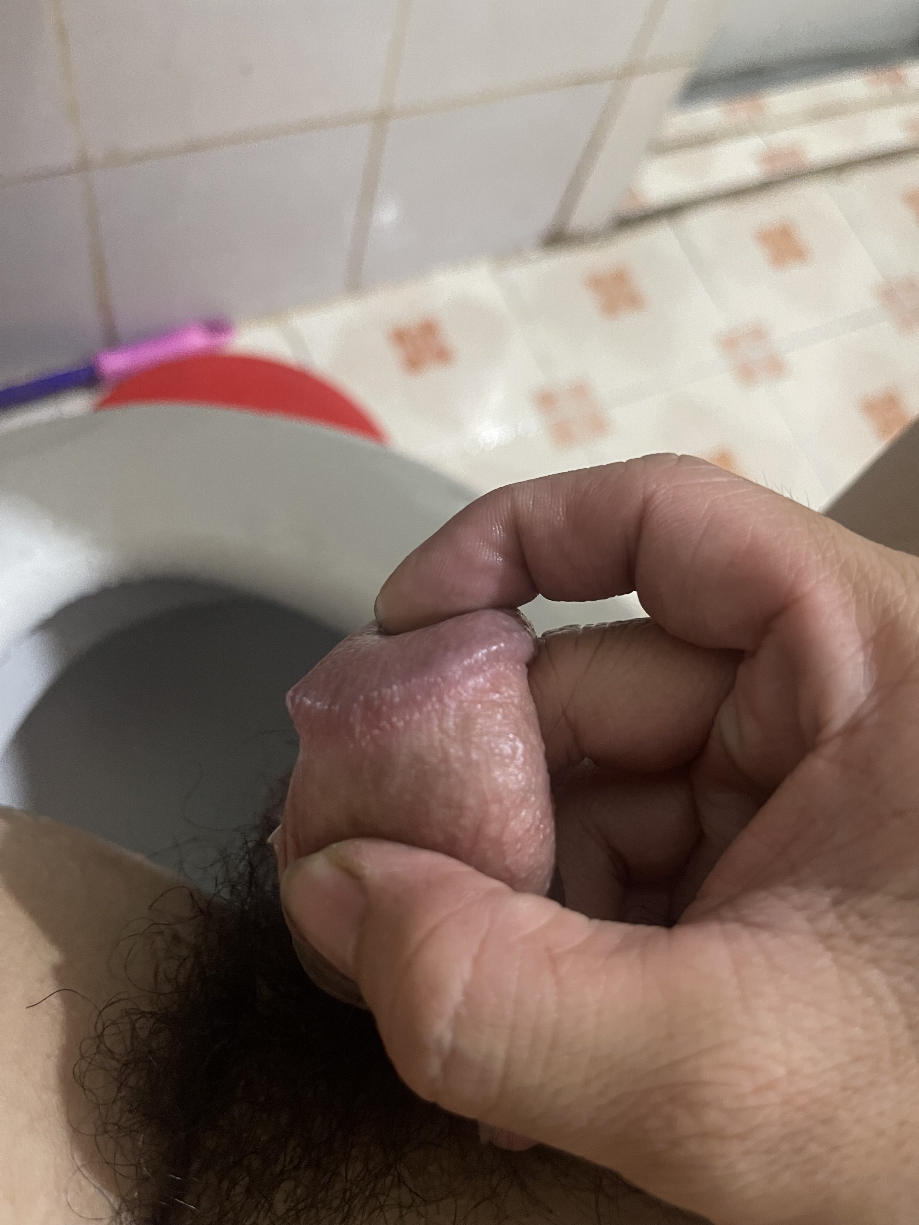 IMG_2497.jpeg