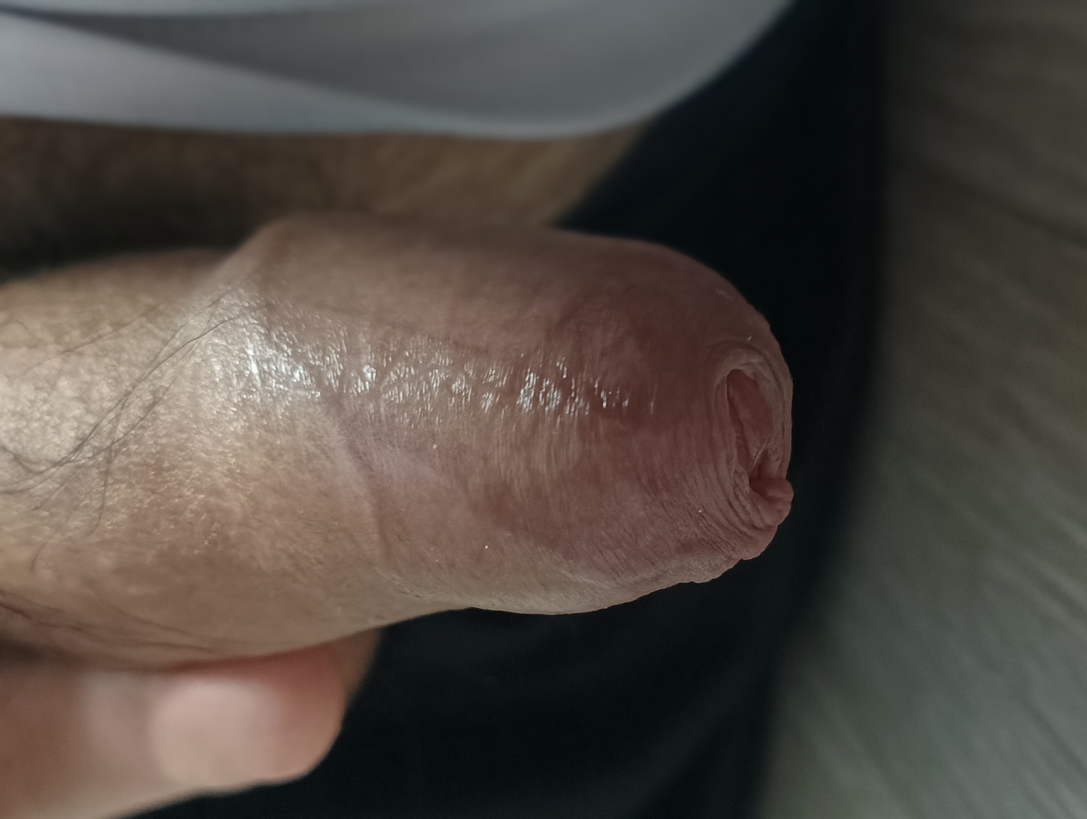 1000026252.jpg