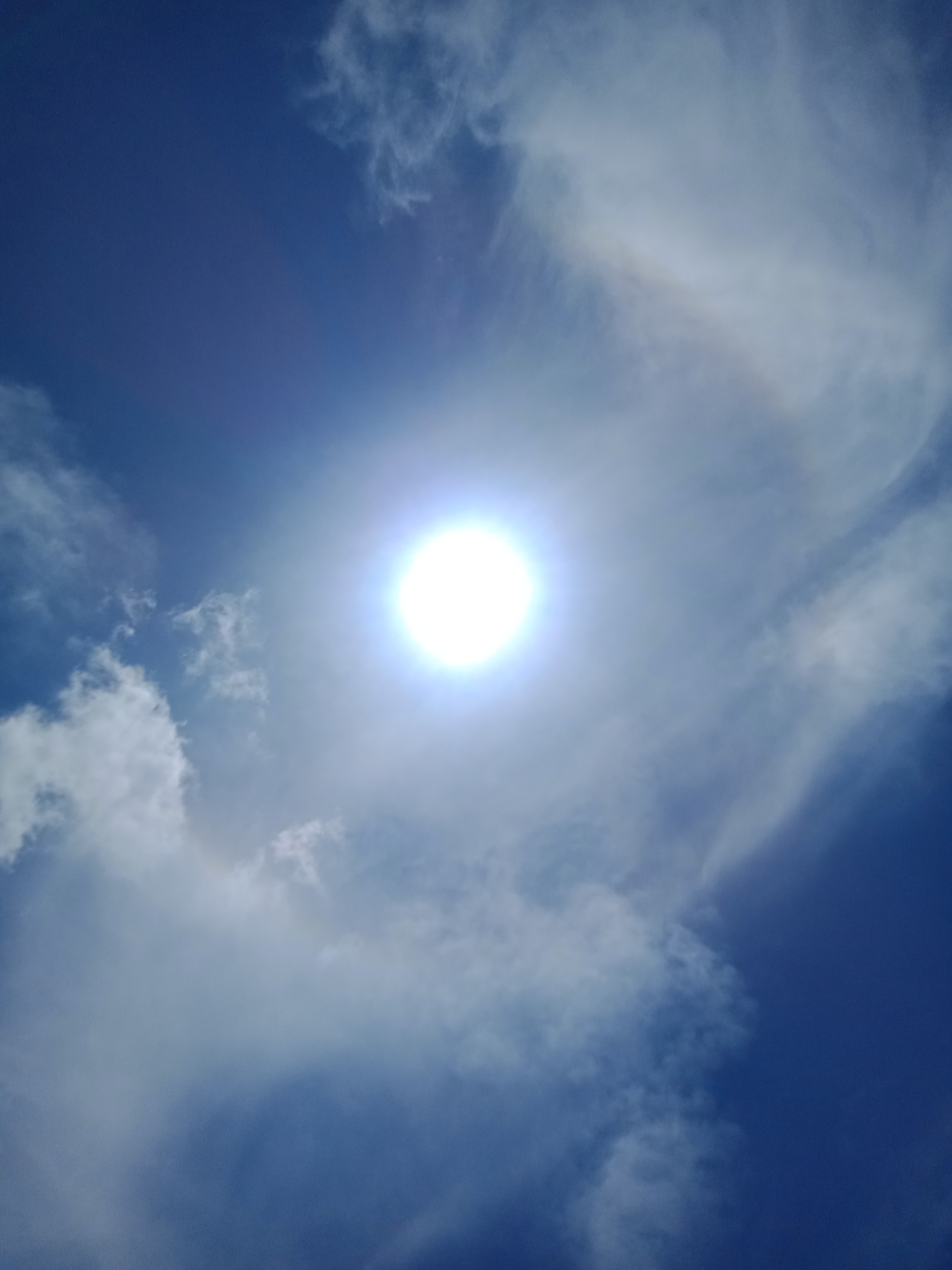 IMG20230704120154.jpg