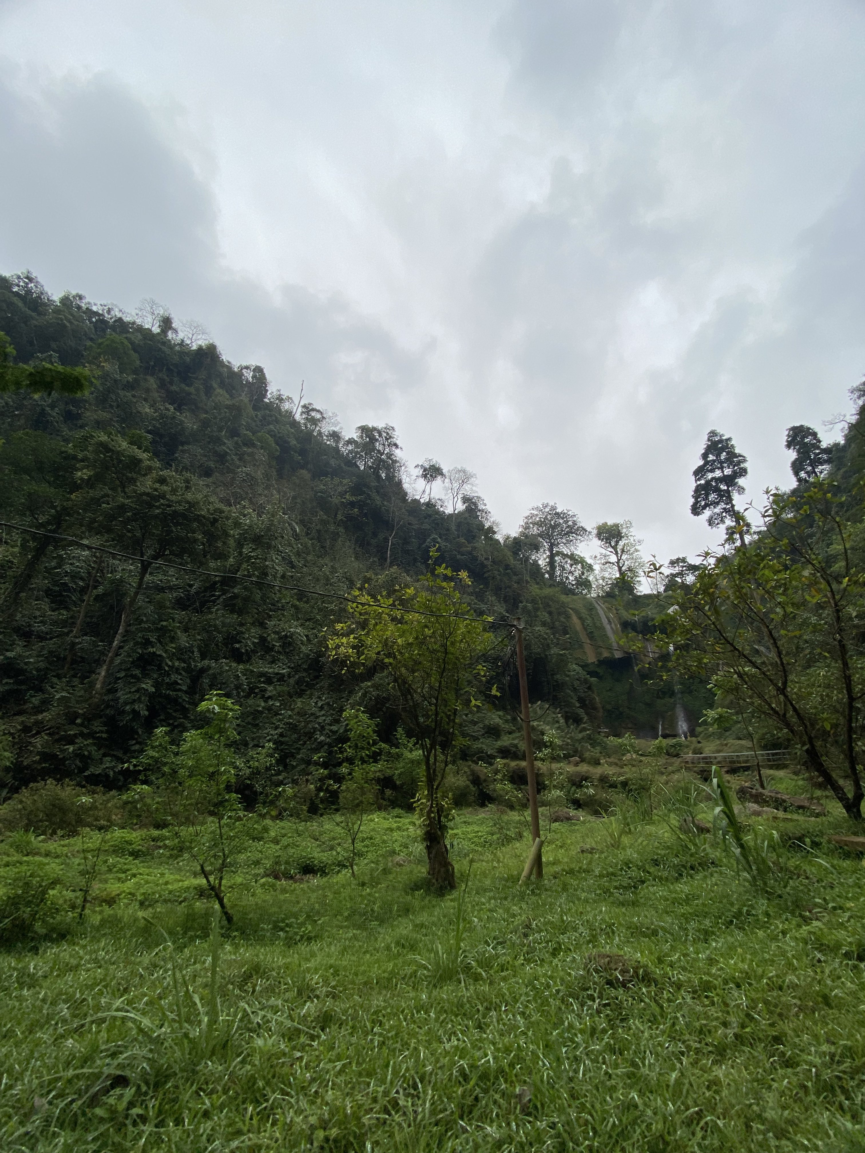 D3F41914-EF17-46B7-81F9-C092B60F3C90.jpeg