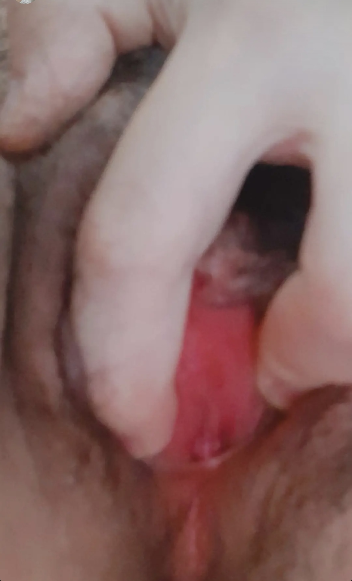 IMG_1642.jpeg