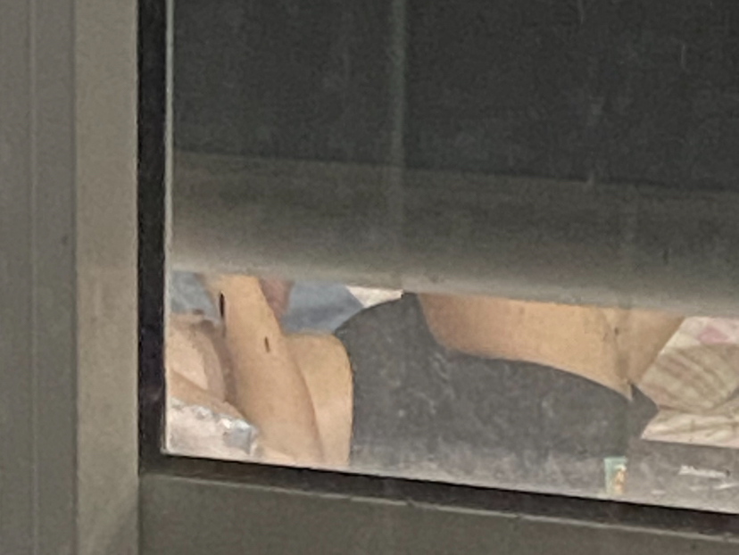 IMG_0433.jpeg