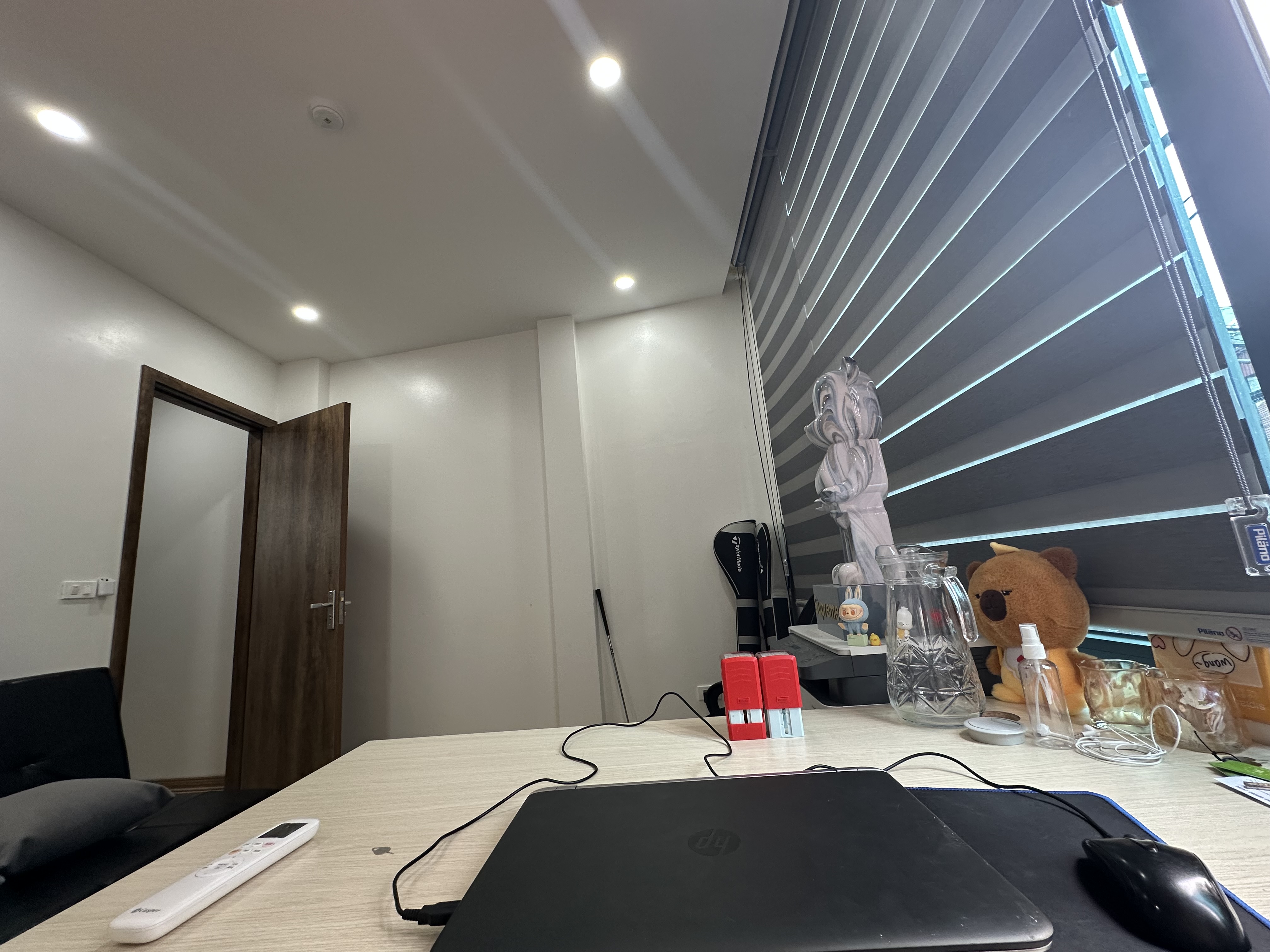 IMG_0207.jpeg