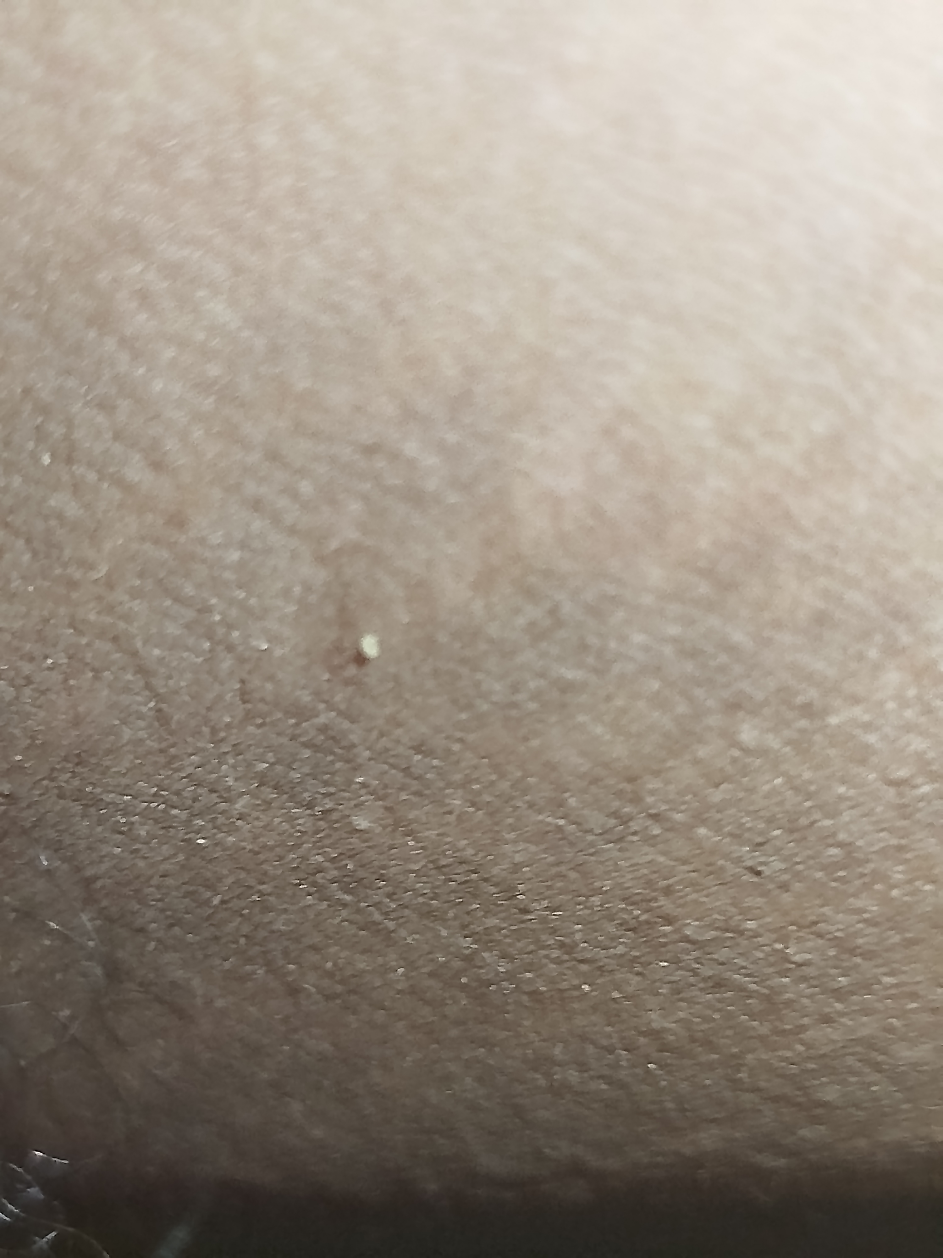 IMG_20250924_151524.jpg
