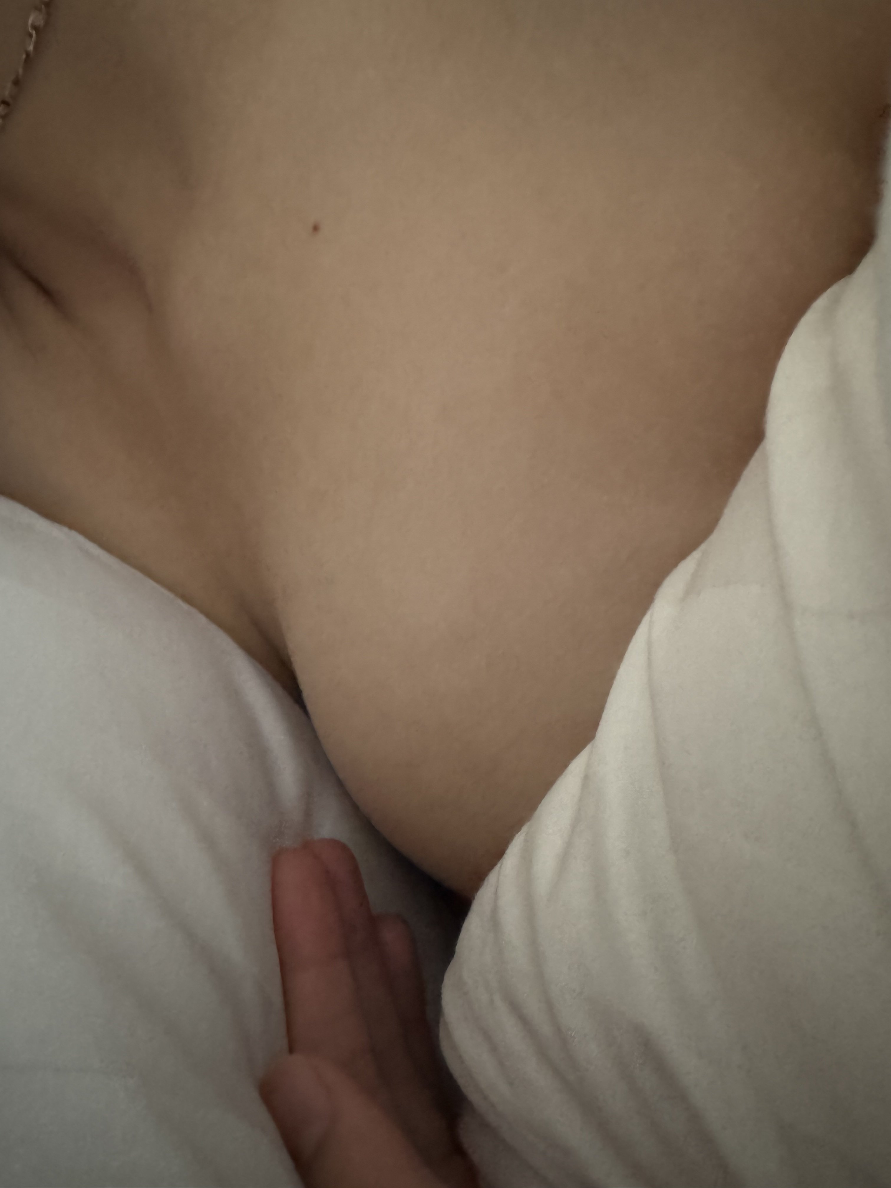 IMG_2639.jpeg
