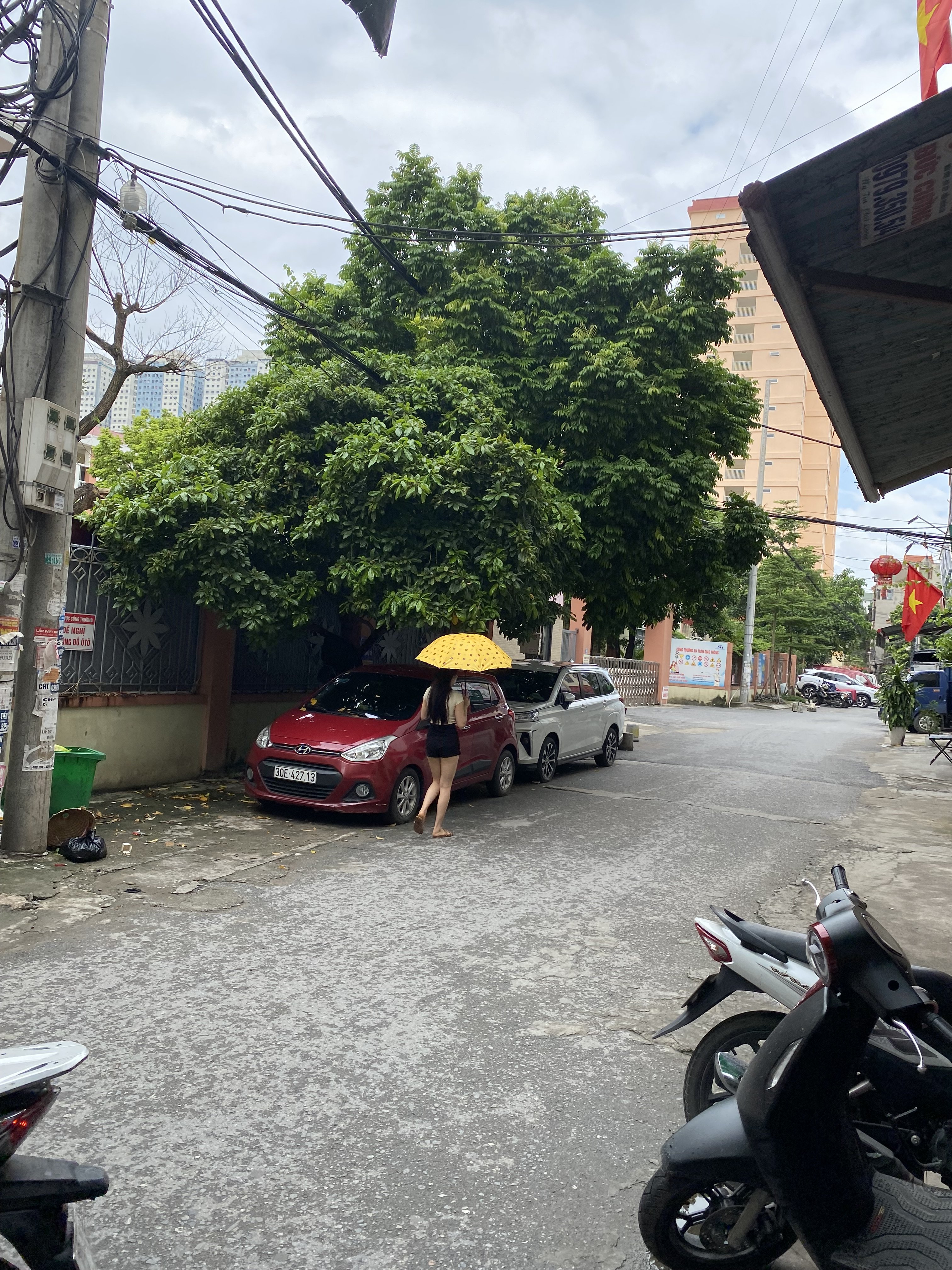 IMG_2359.jpeg