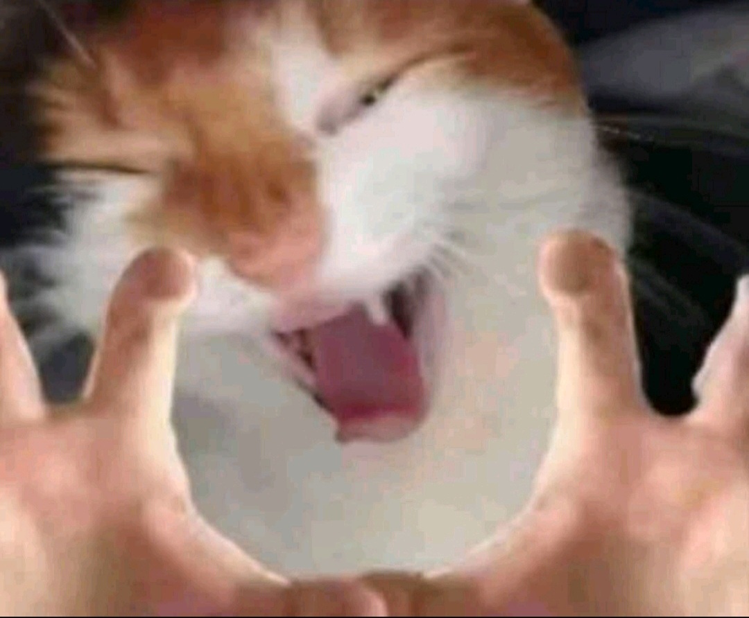 Screenshot_20250919_210717_TikTok.jpg