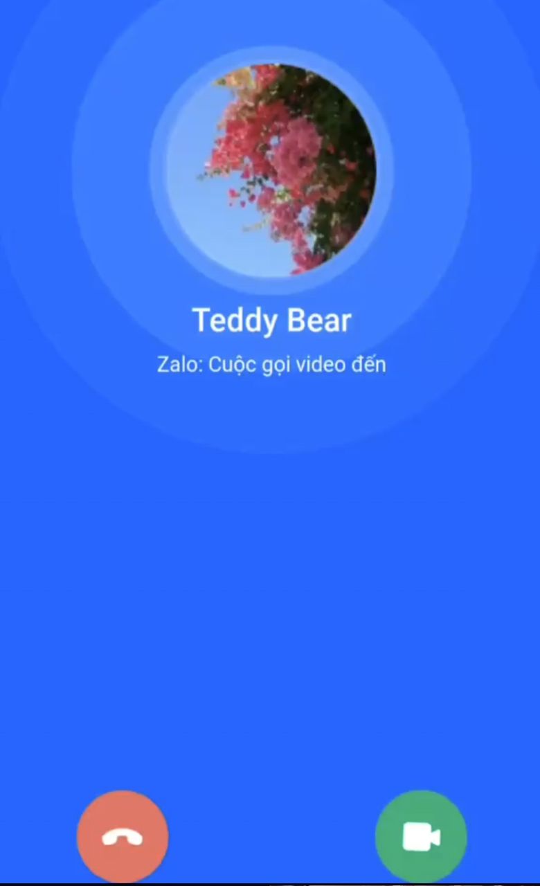 1000011189.jpg