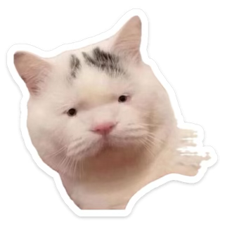 1759798922872.png