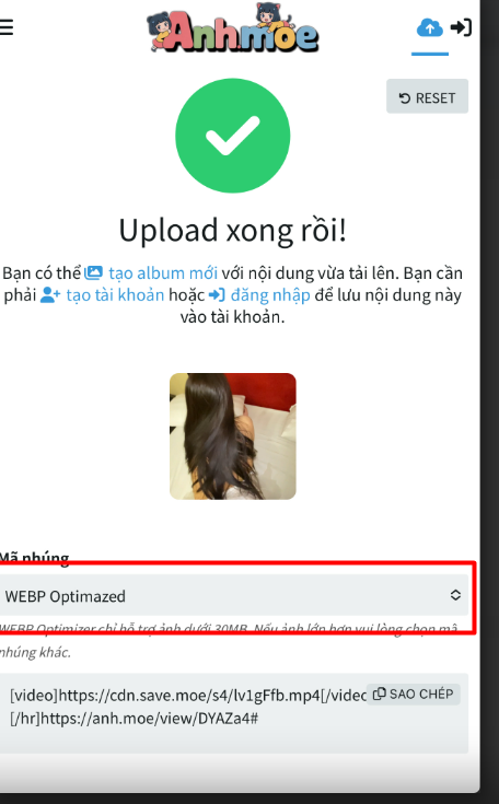 1763713297656.png