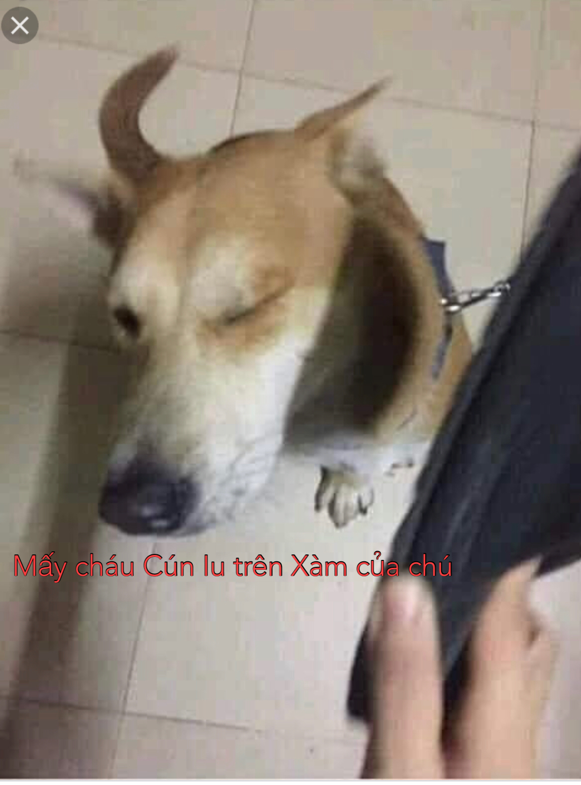 BAA19985-C75C-4599-BD7E-E1AE15D69680.jpeg