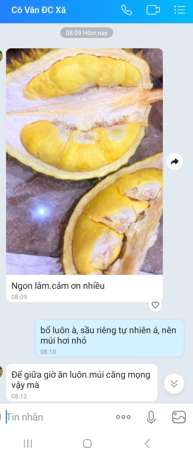 43.jpg