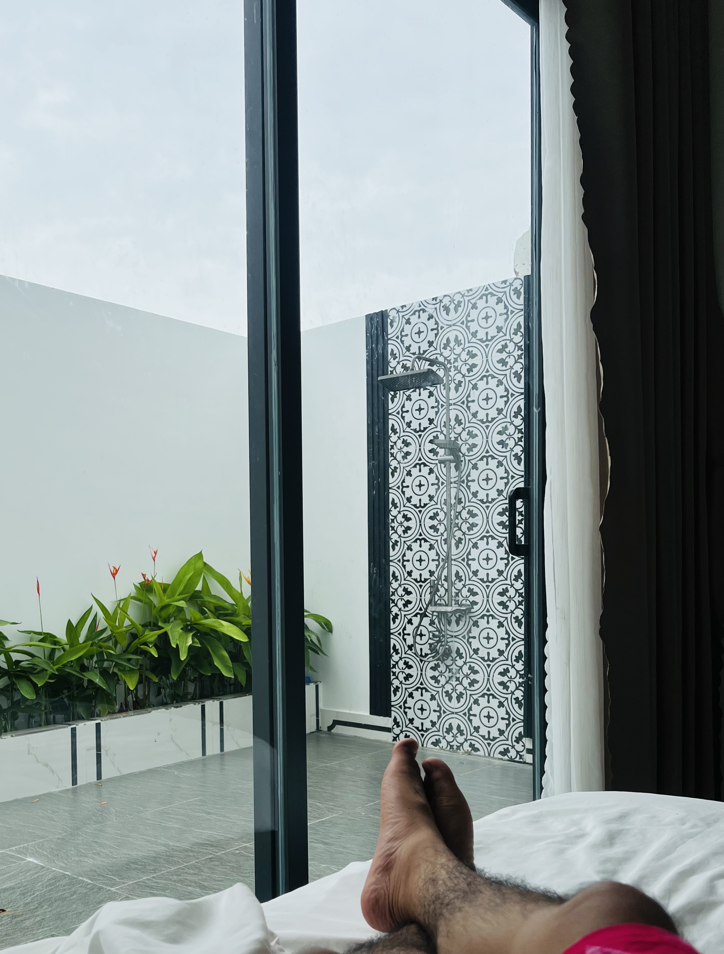 IMG_5387.jpeg