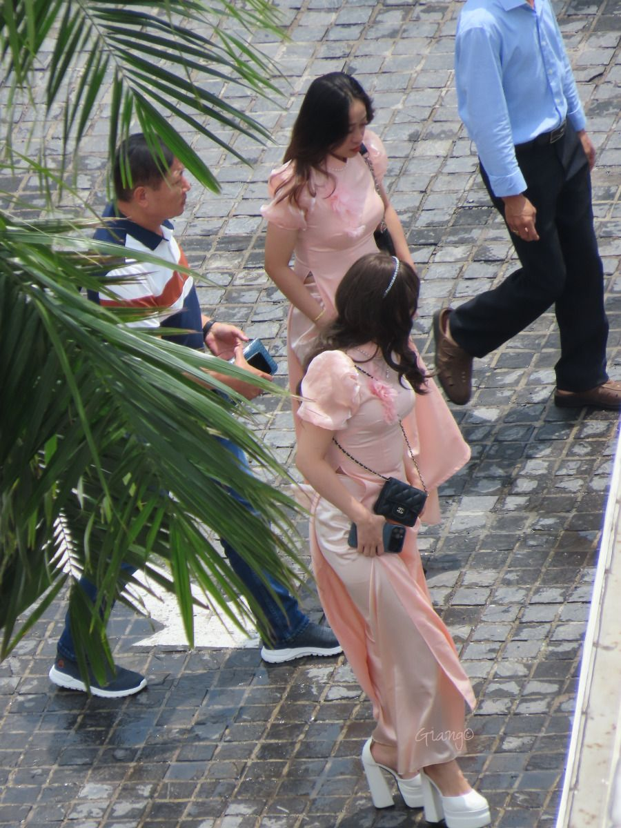 IMG_1109.png