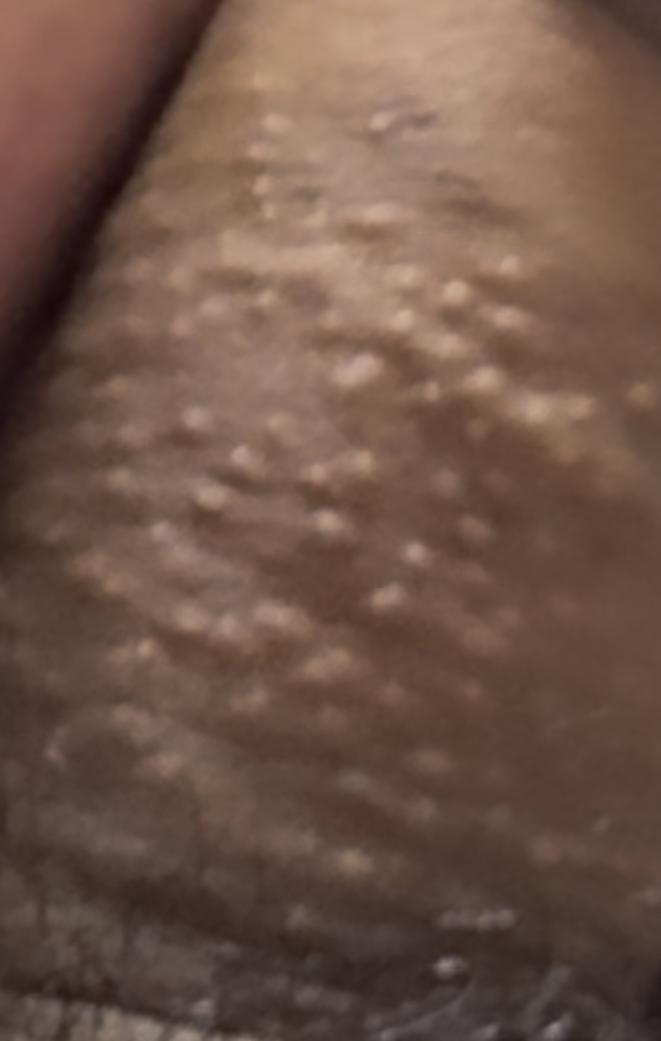 IMG_5157.jpeg