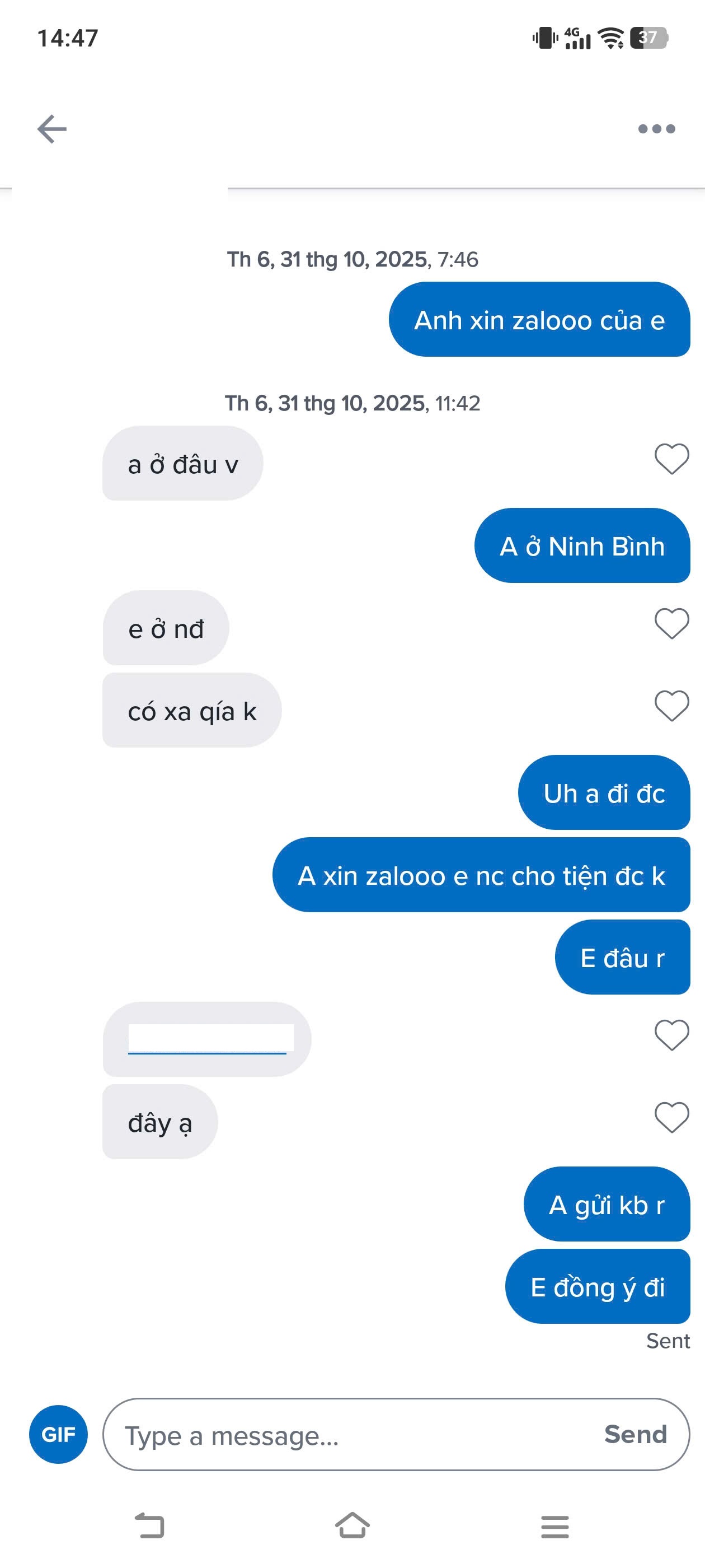 B.jpg