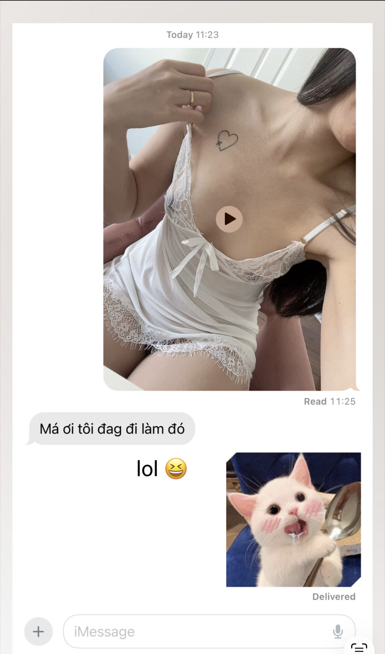 1769406204496.png