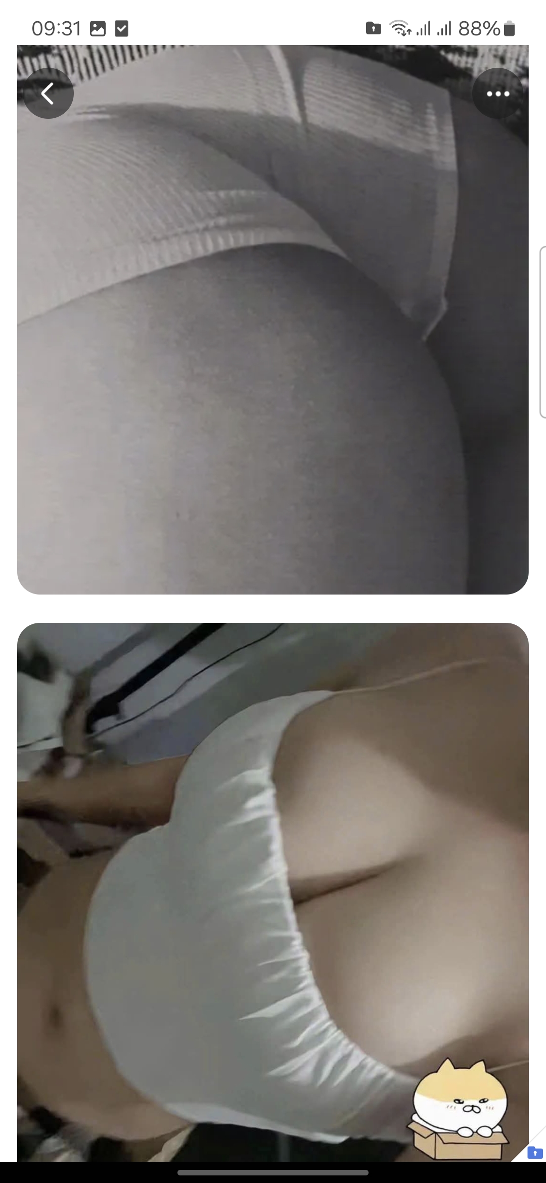 1000006176.jpg