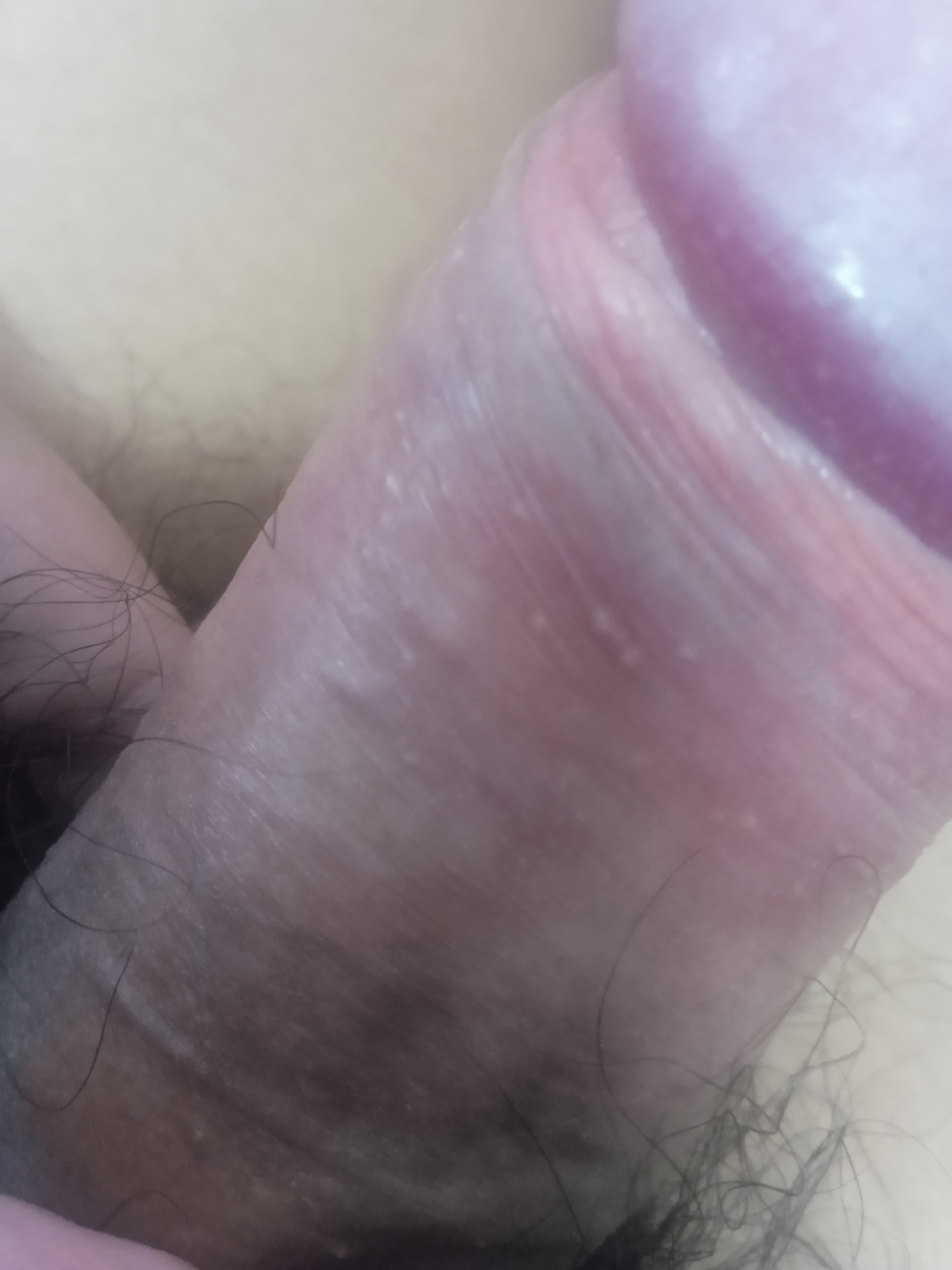 IMG_20260211_104203.jpg