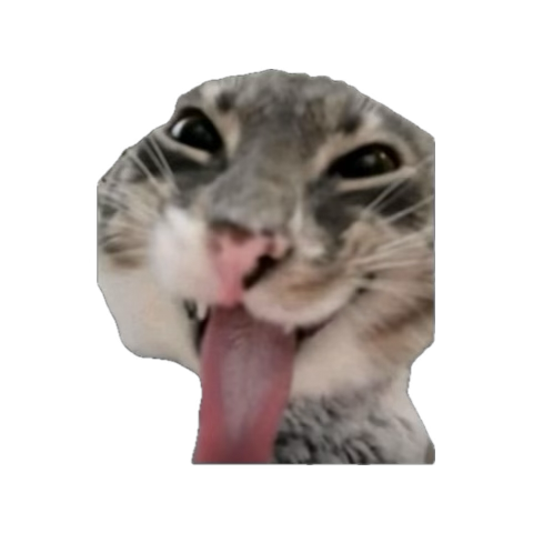 1770908498309.png