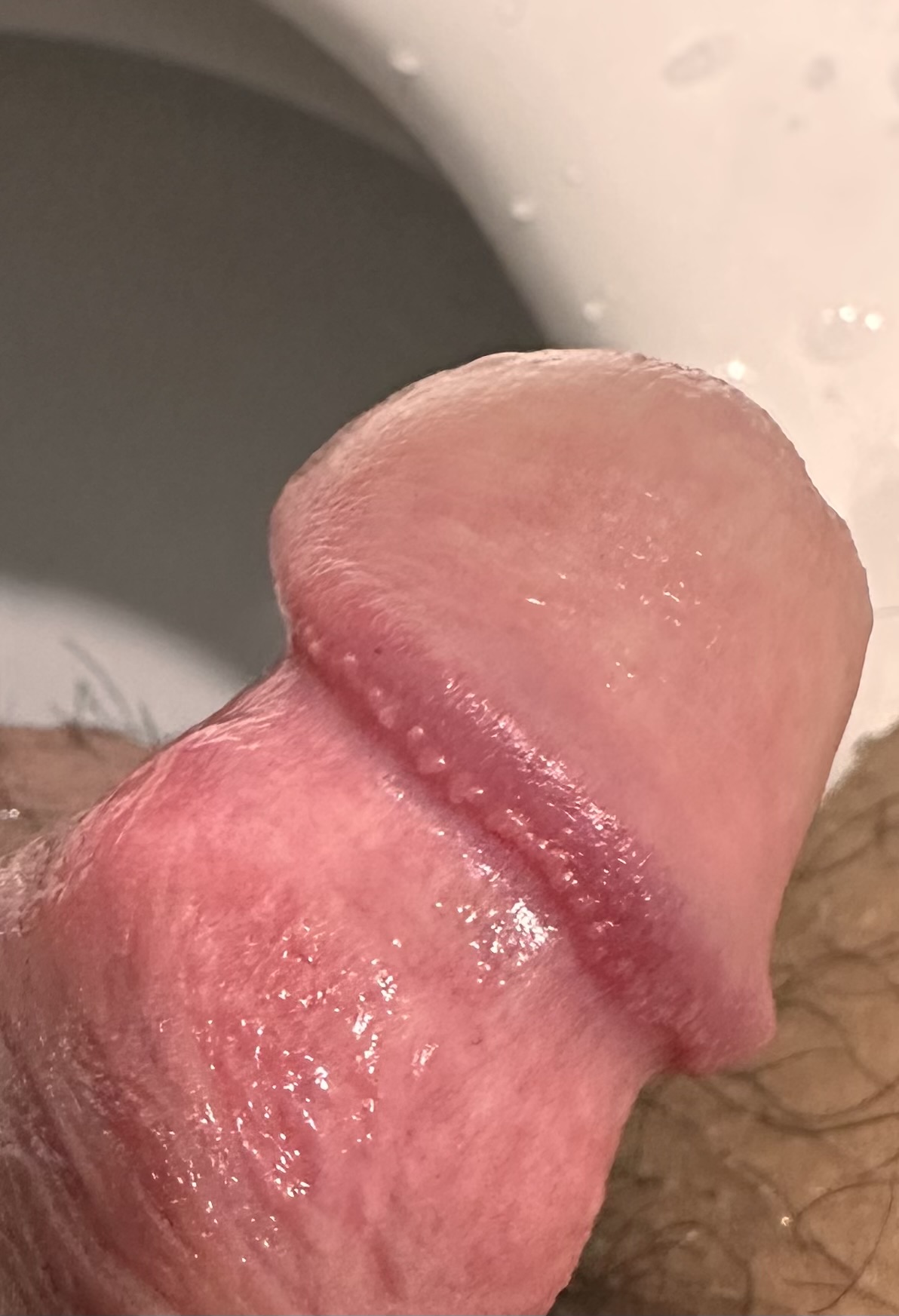 IMG_8585.jpeg