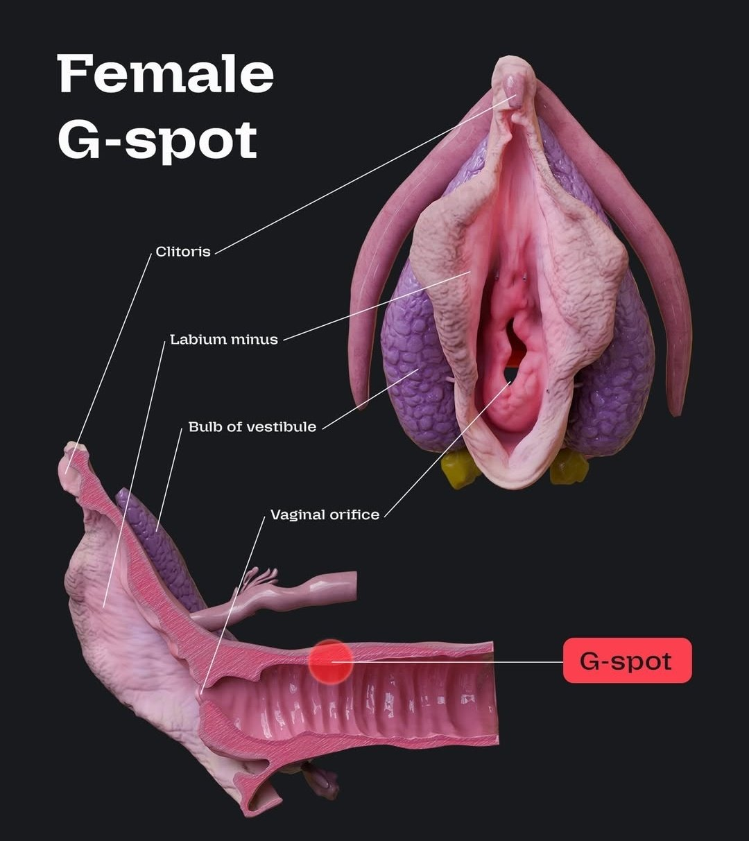 1772003134398.png