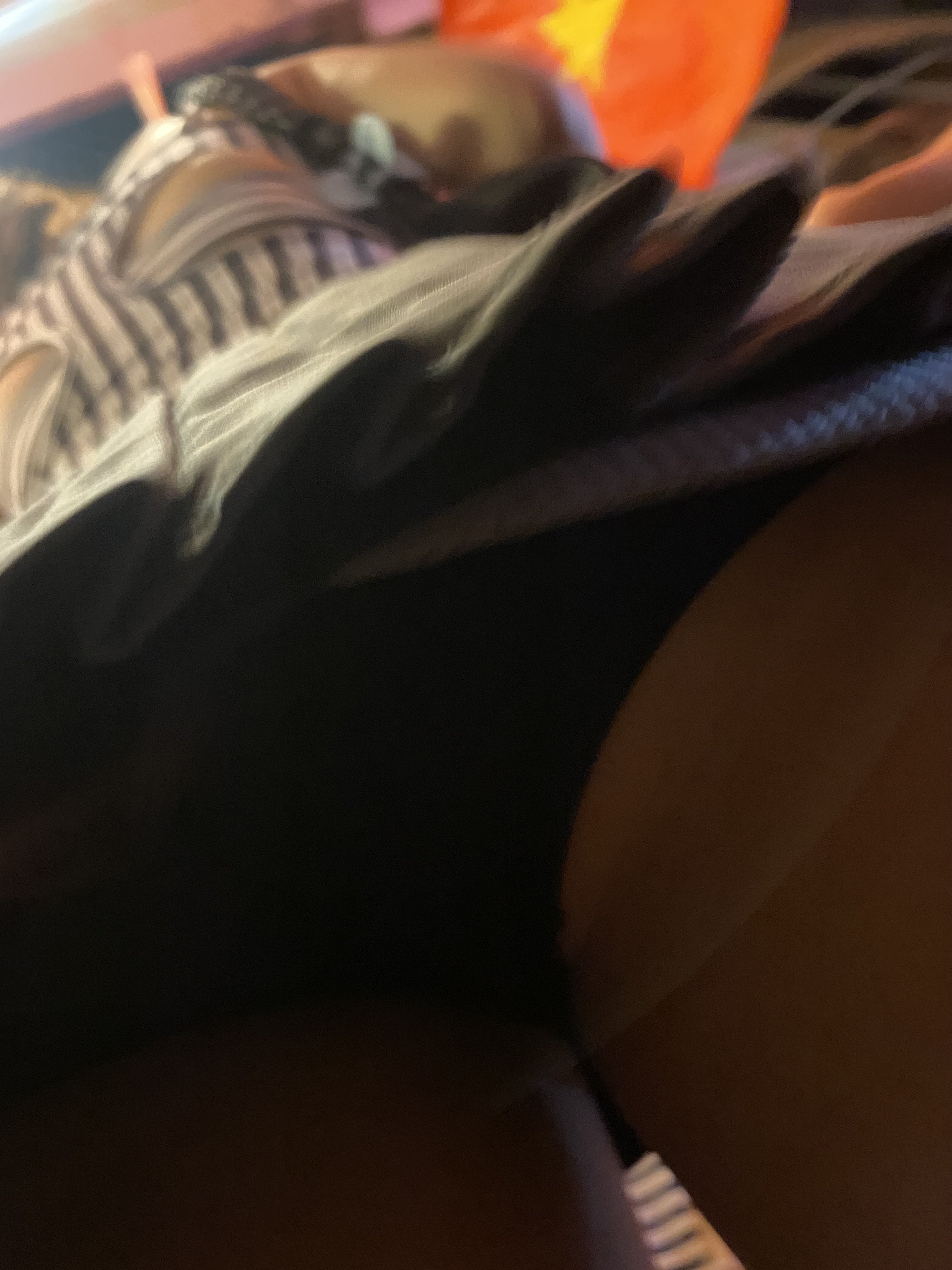 IMG_5115.jpeg