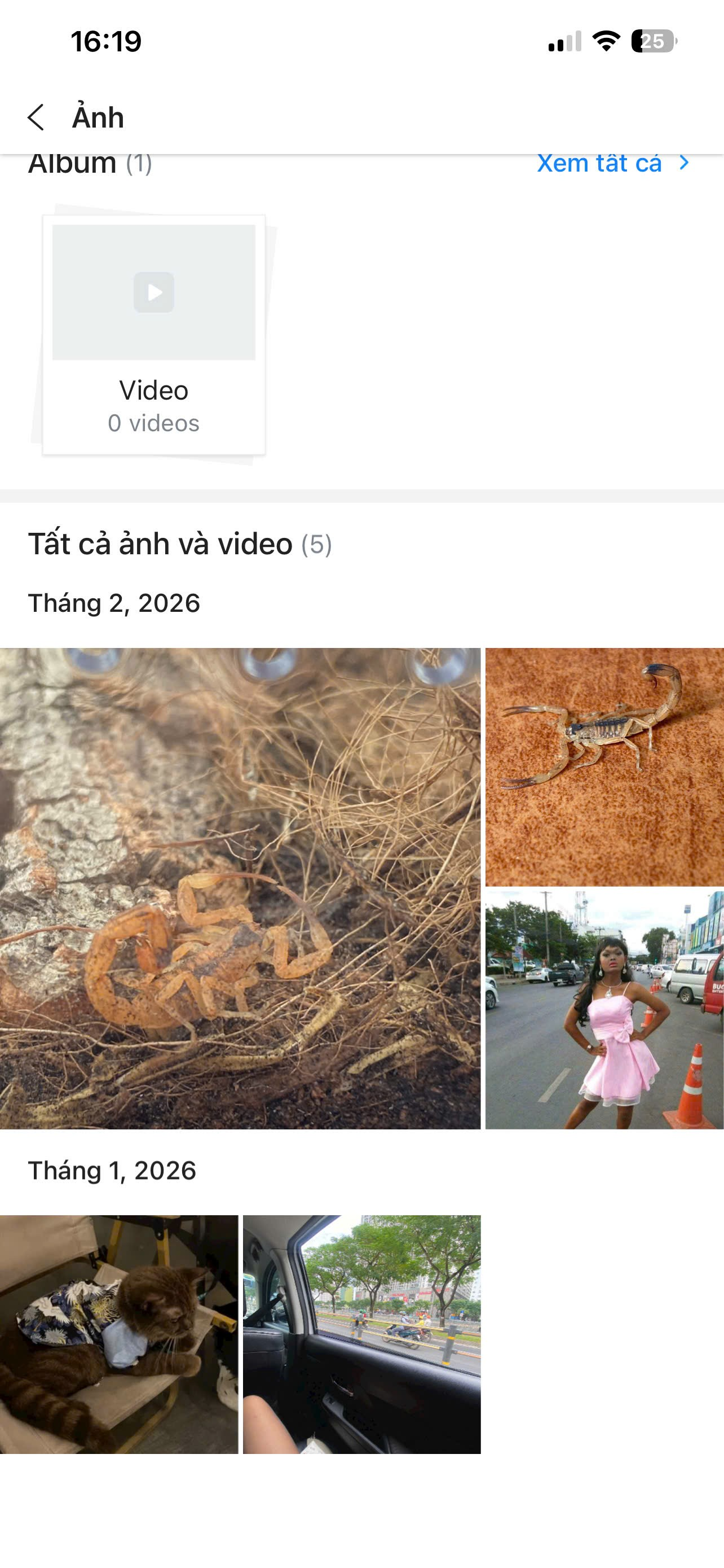 1772702373323.png
