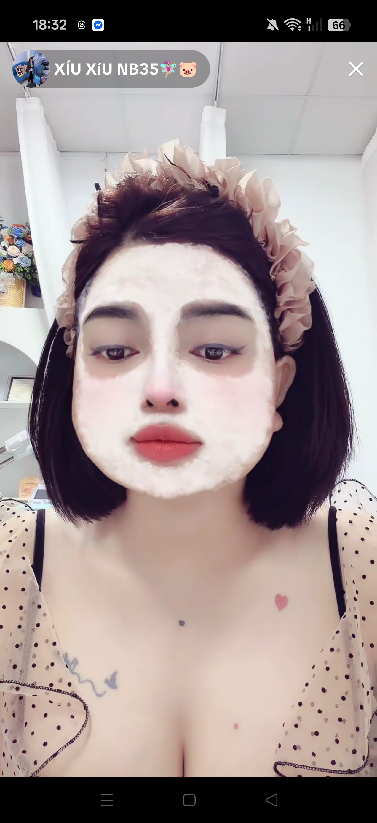 2085.jpg