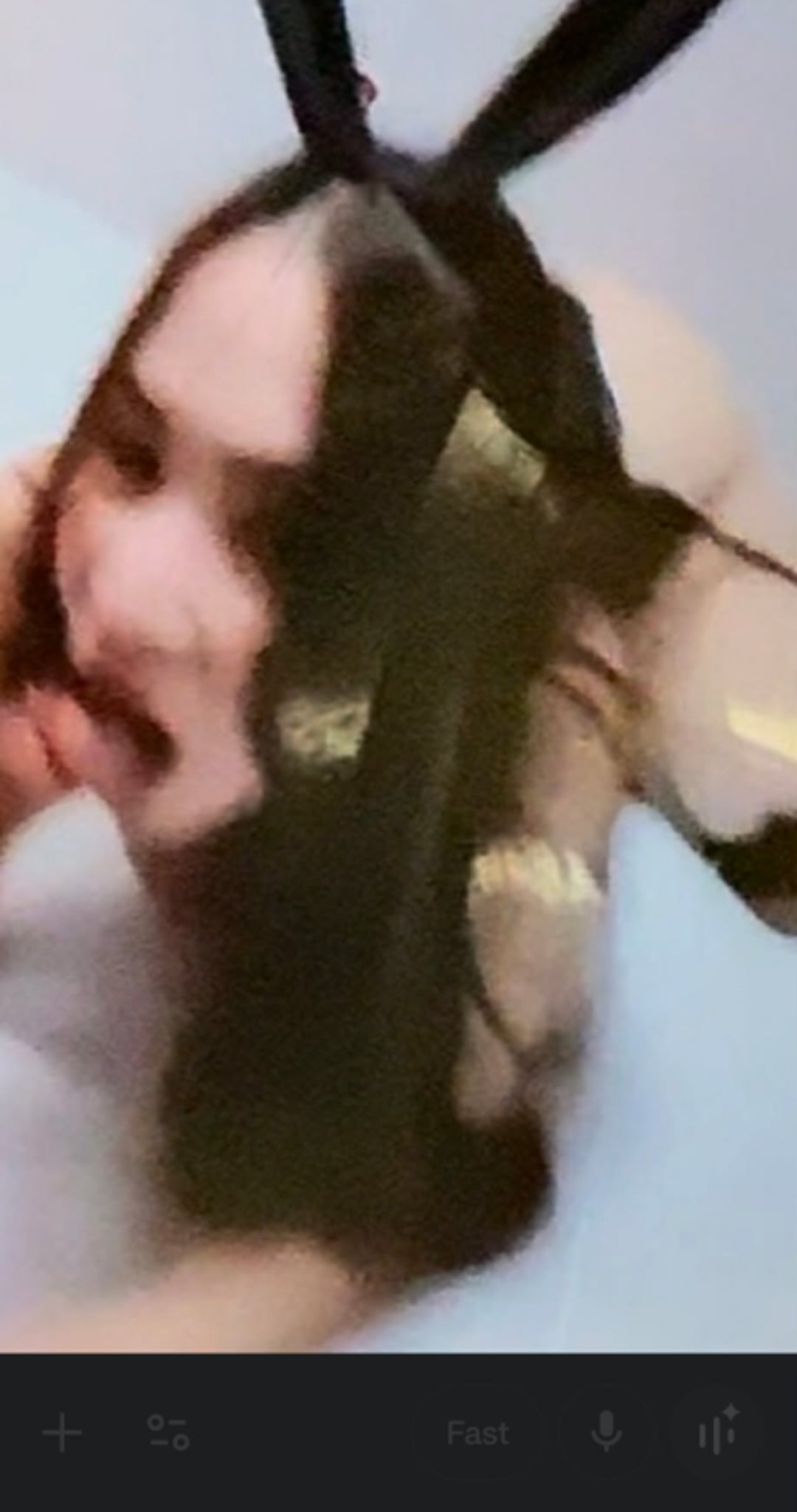 orca-image--1796473884.jpeg.jpeg