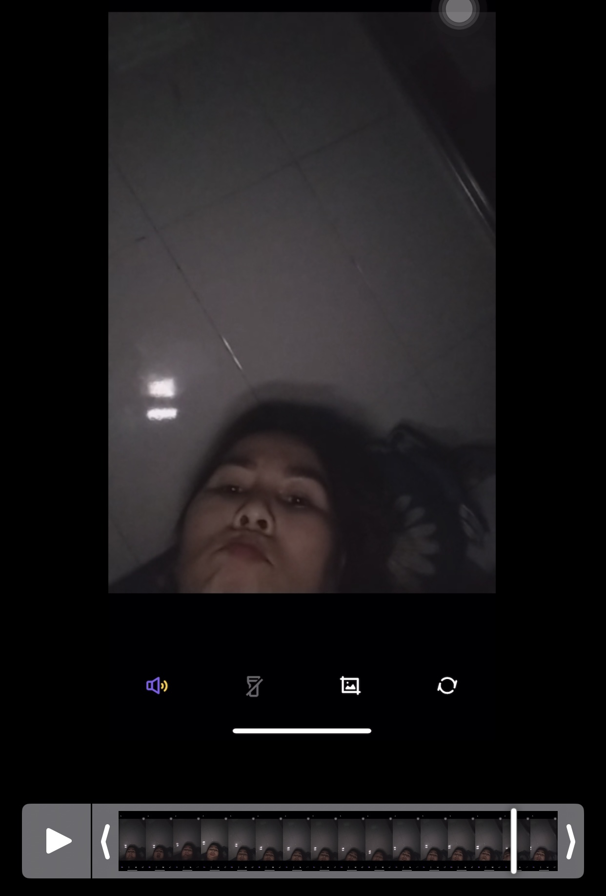 IMG_7991.jpeg