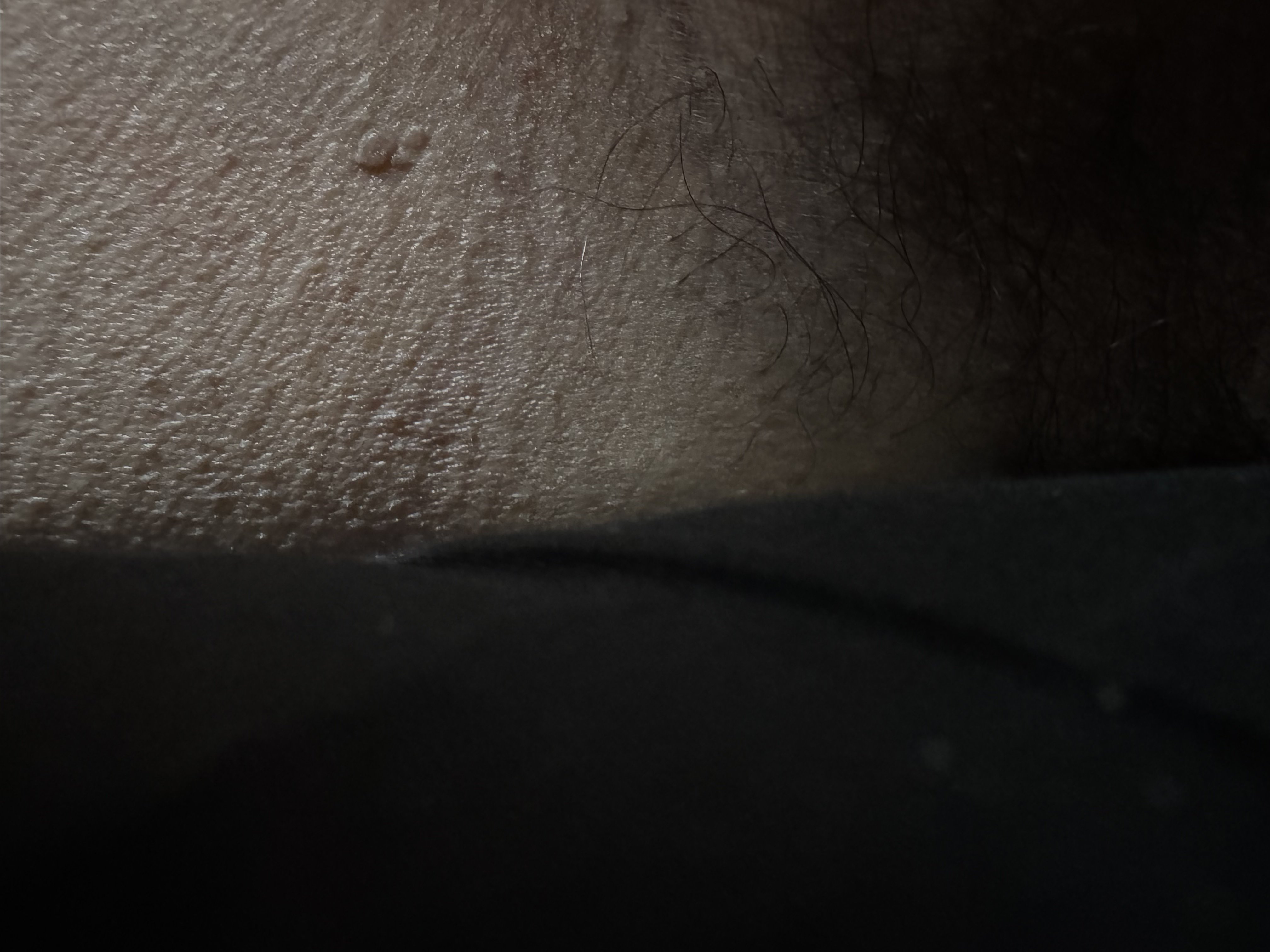 IMG_7806.jpeg
