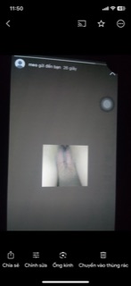 IMG_3363.jpg