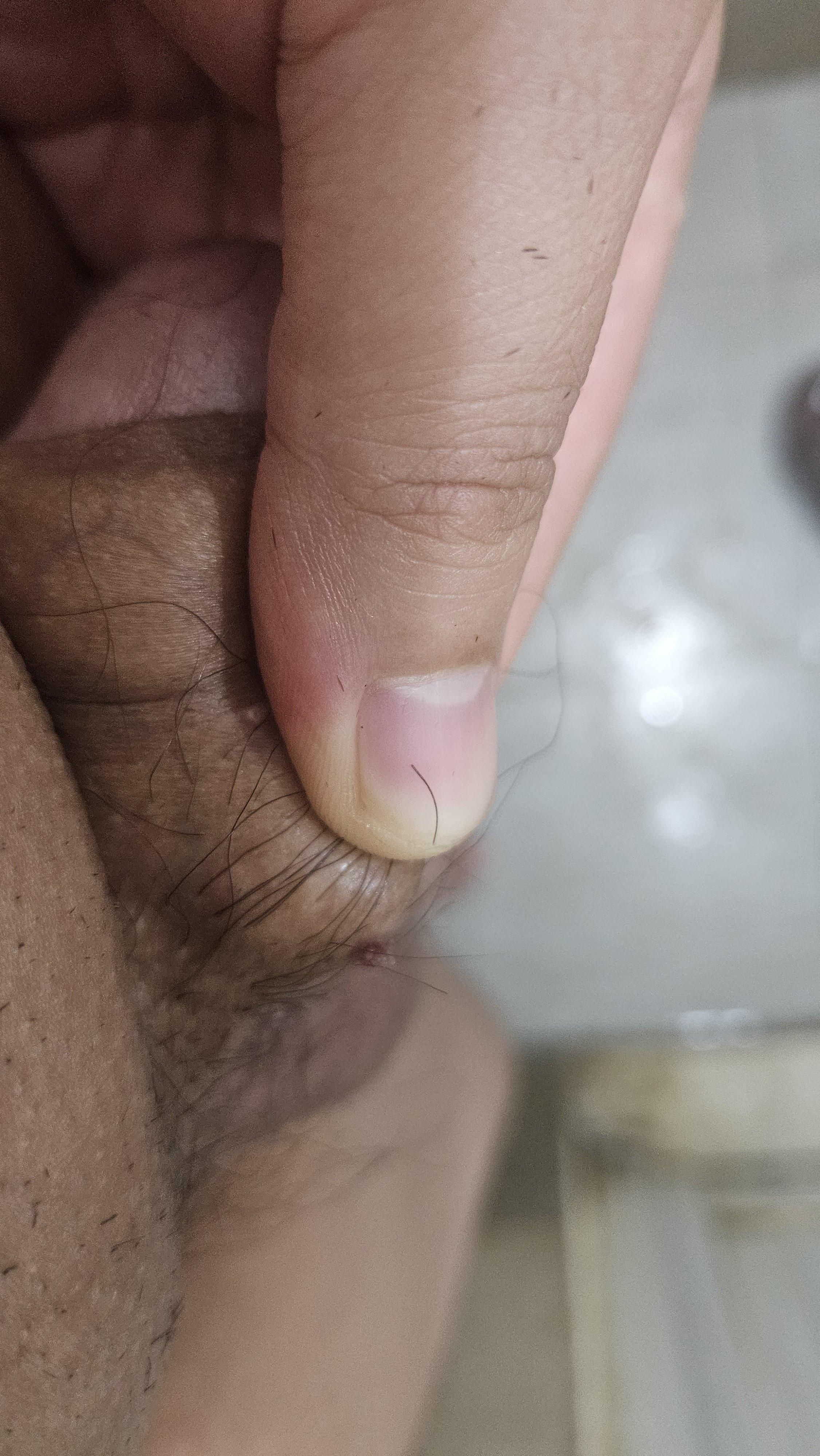 1000007306.jpg