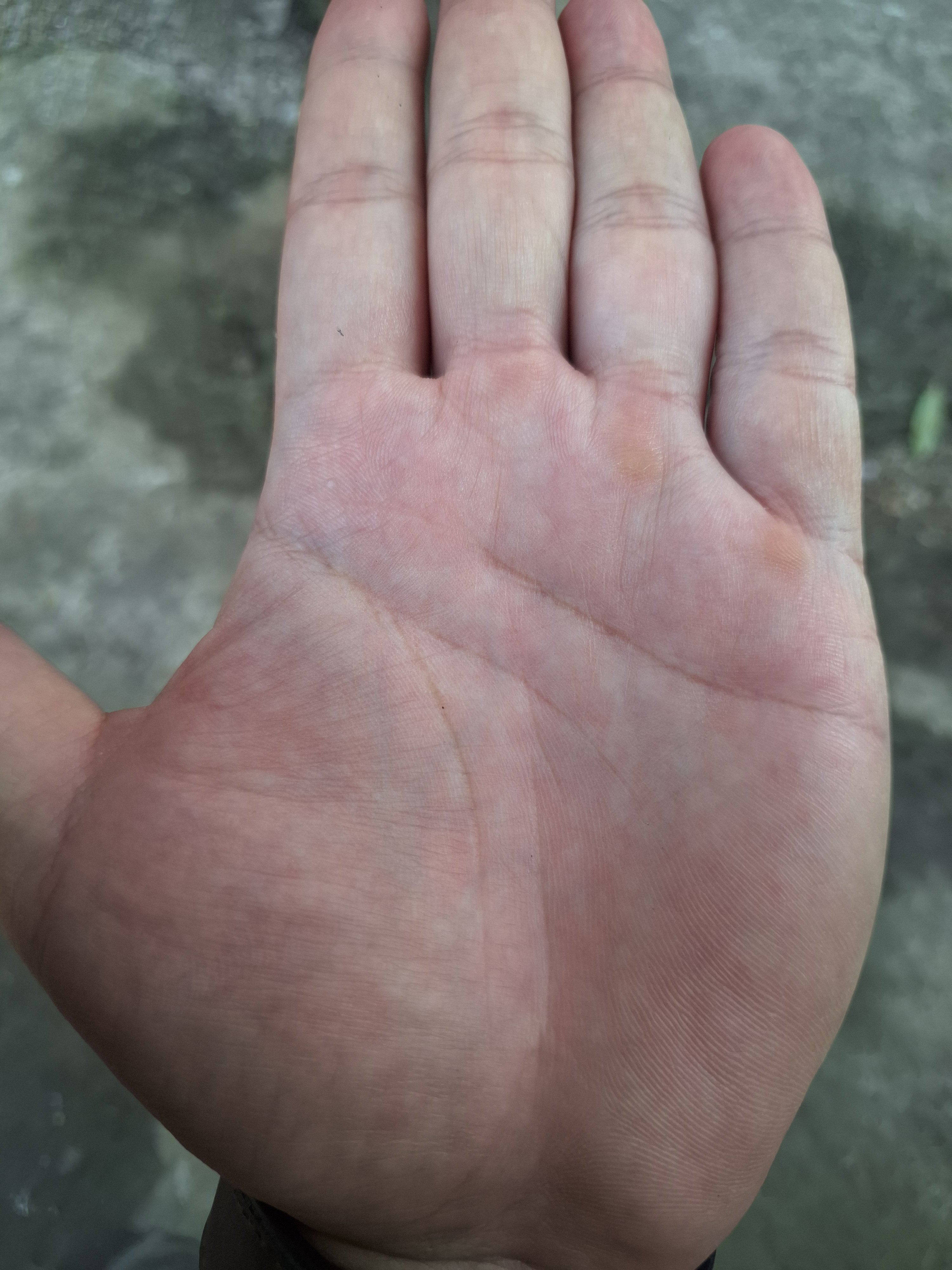 1000087567.jpg