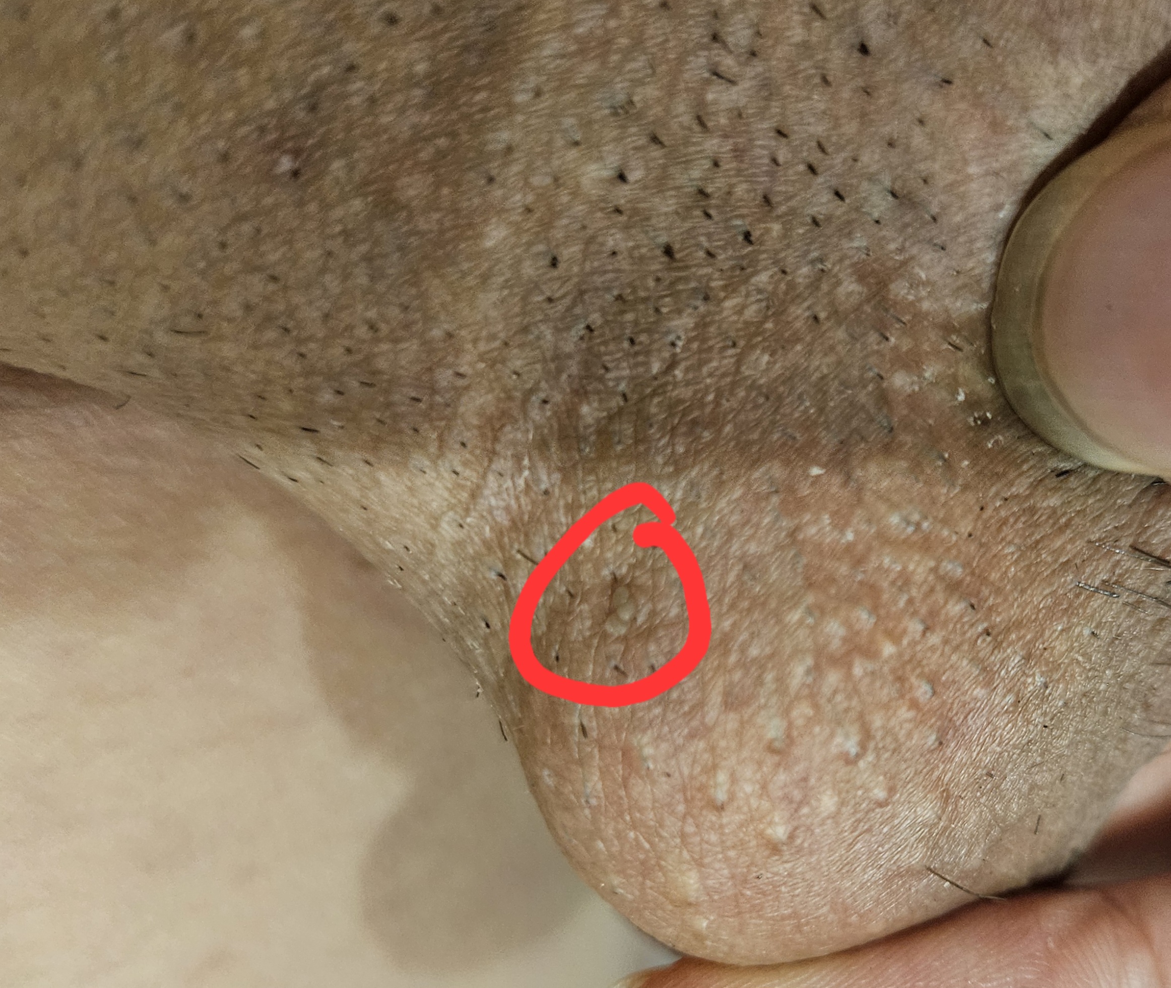 1000029966.jpg