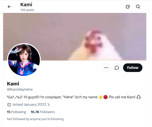 1778587300510.png
