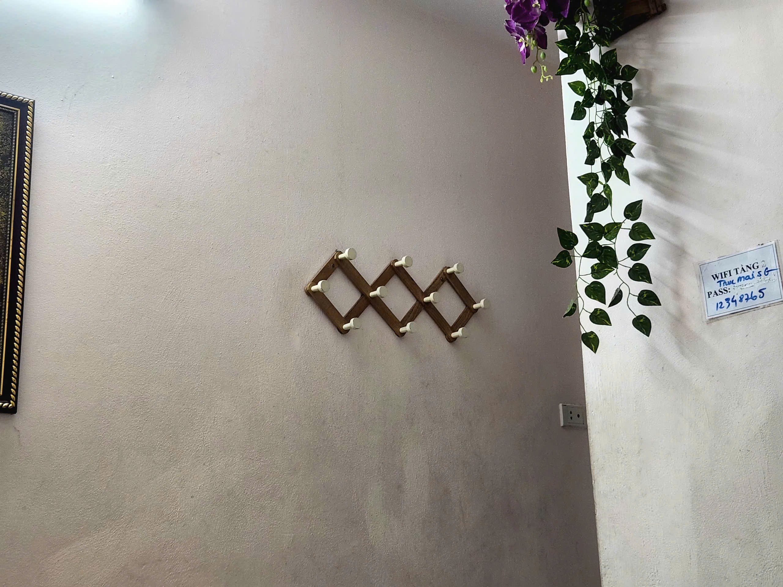 1000137669.jpg