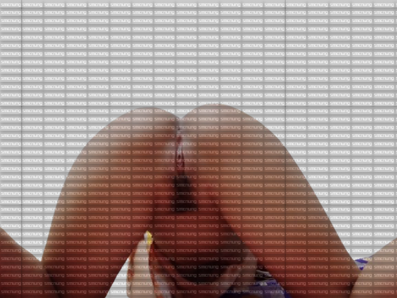IMG_0866.png
