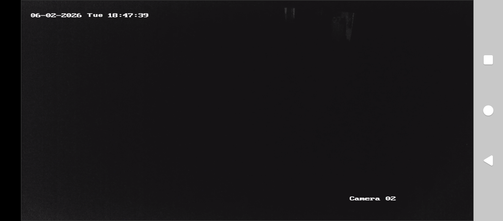279124.png