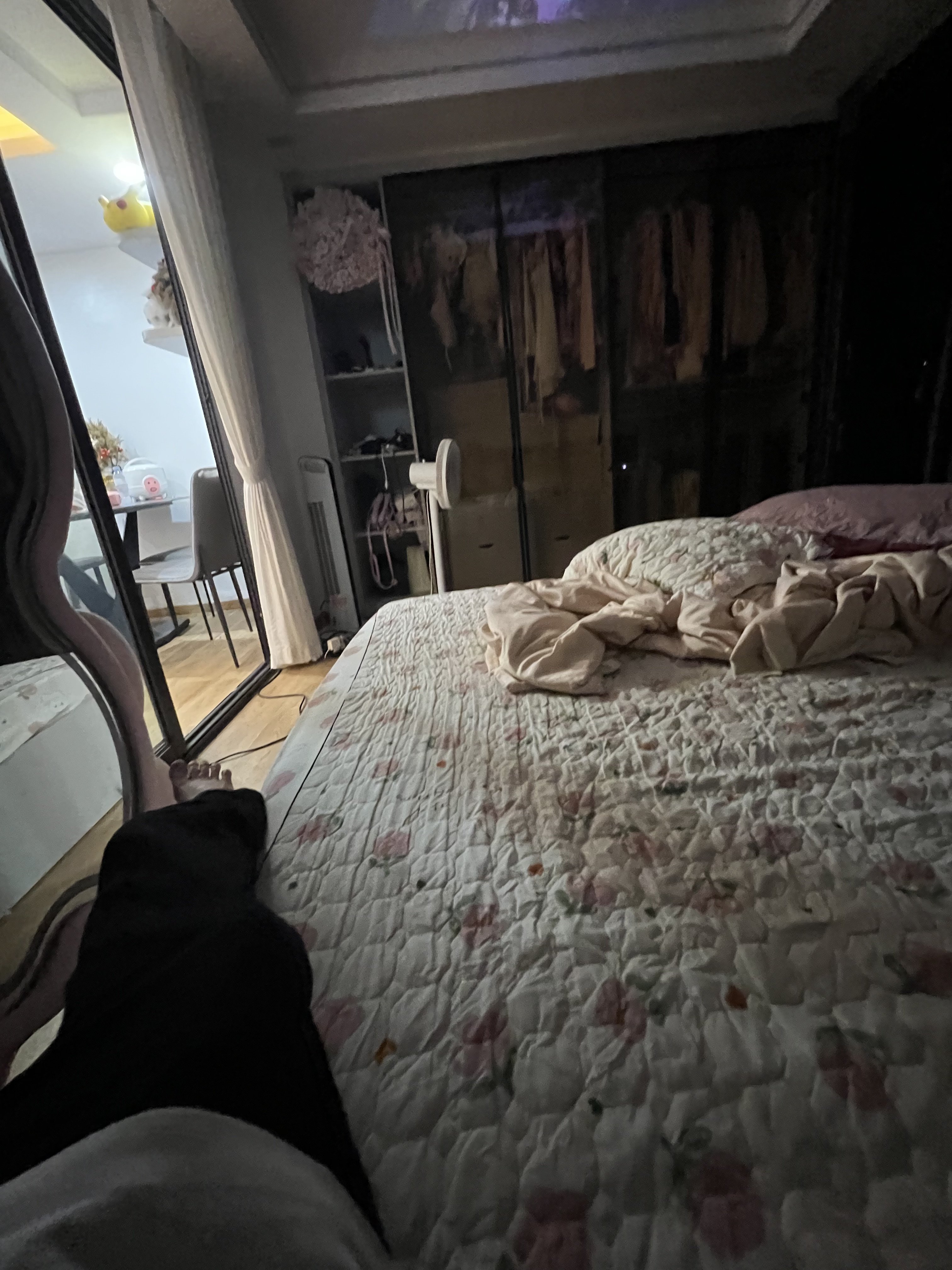 IMG_2734.jpeg