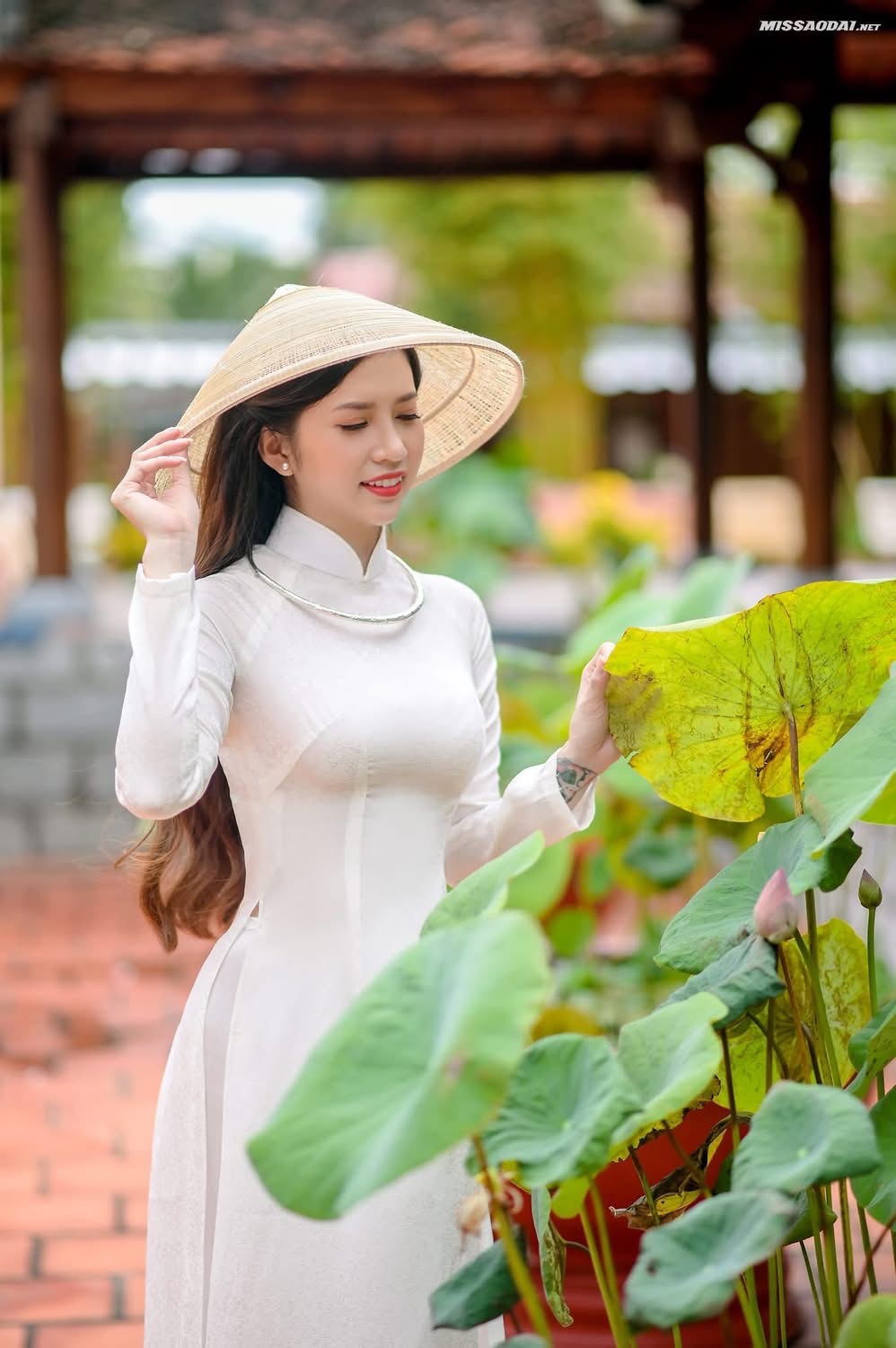 IMG_9985.jpeg